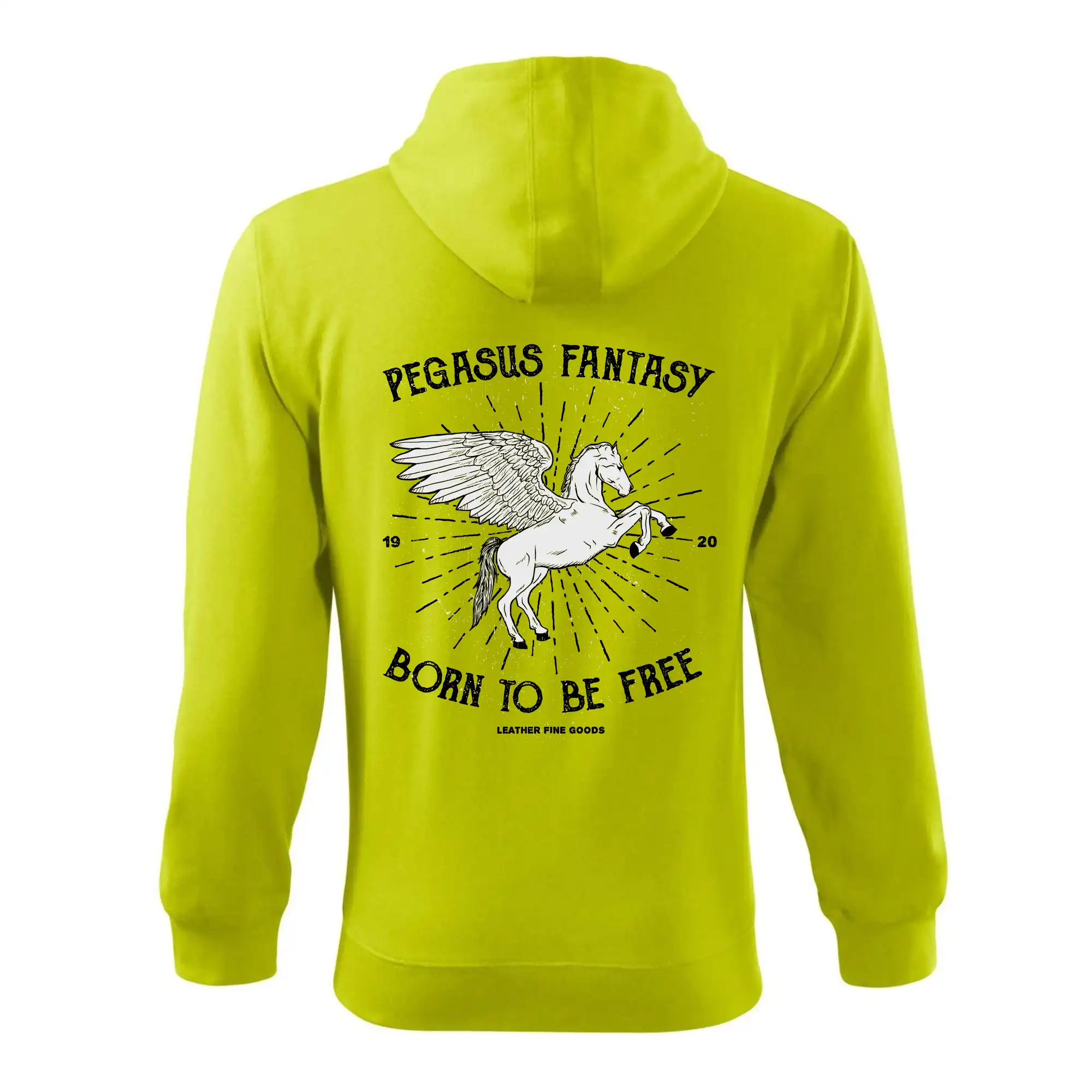 Pegasus fantasy