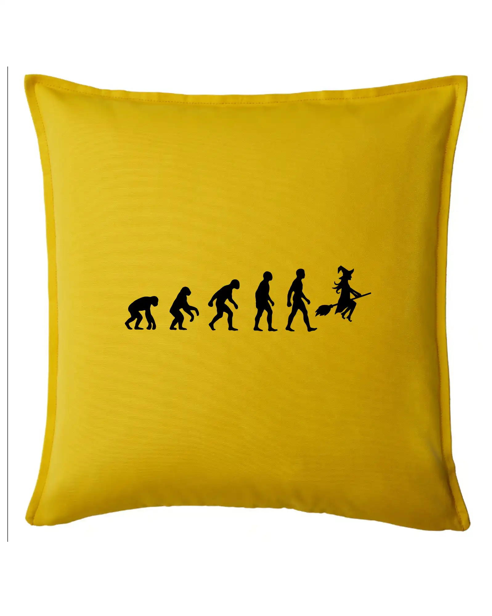 Evoluce čarodějnice