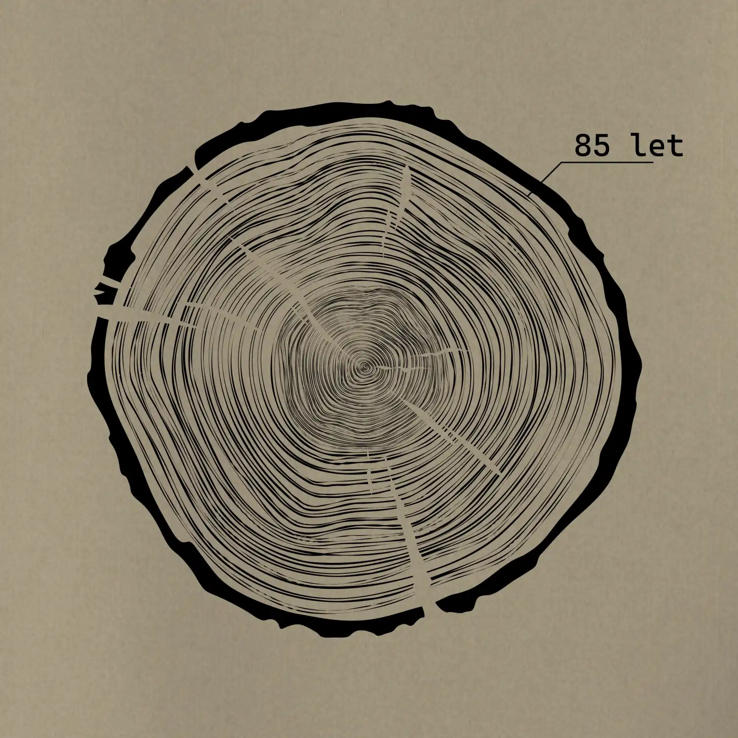 Letokruhy - 85