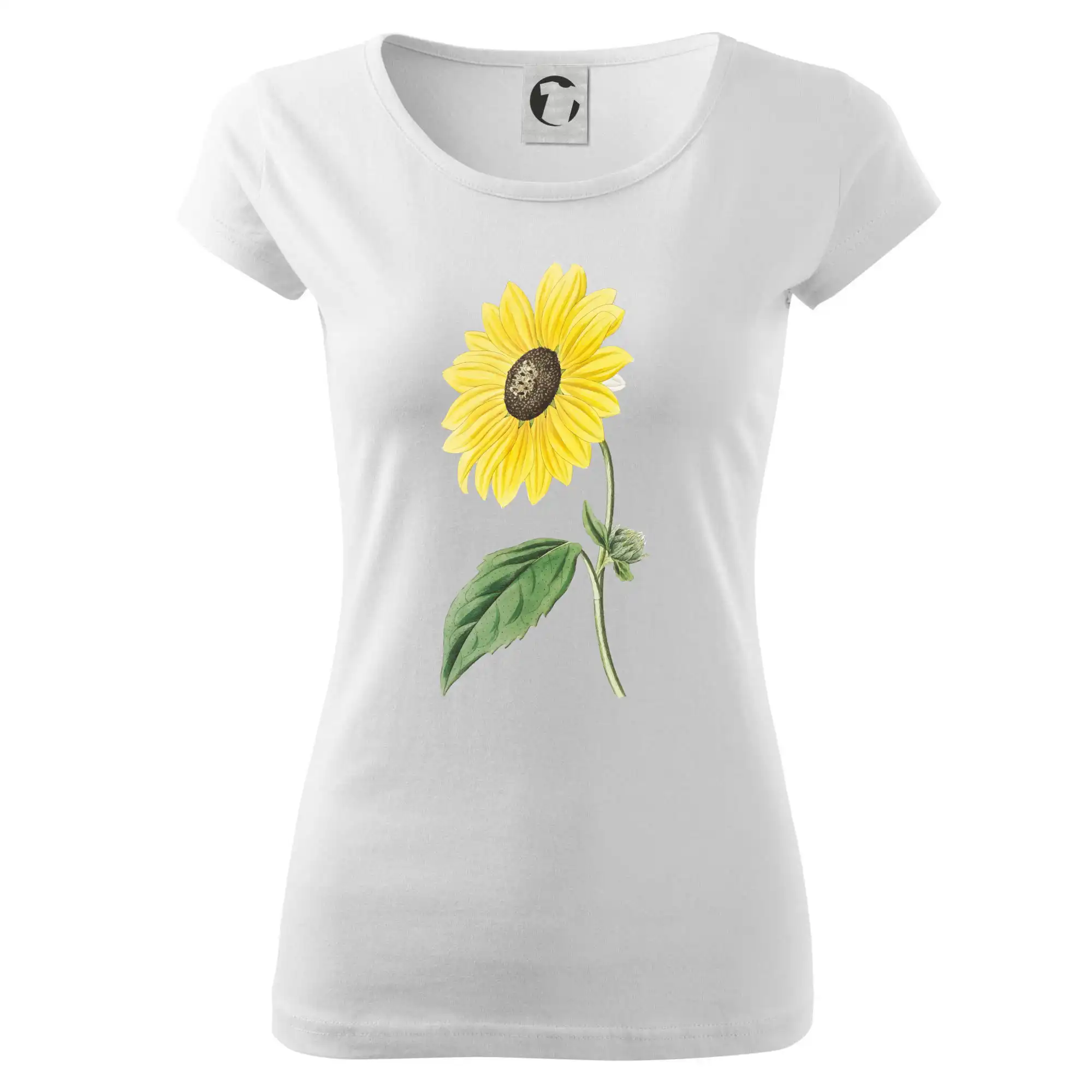 Slunečnice otočená