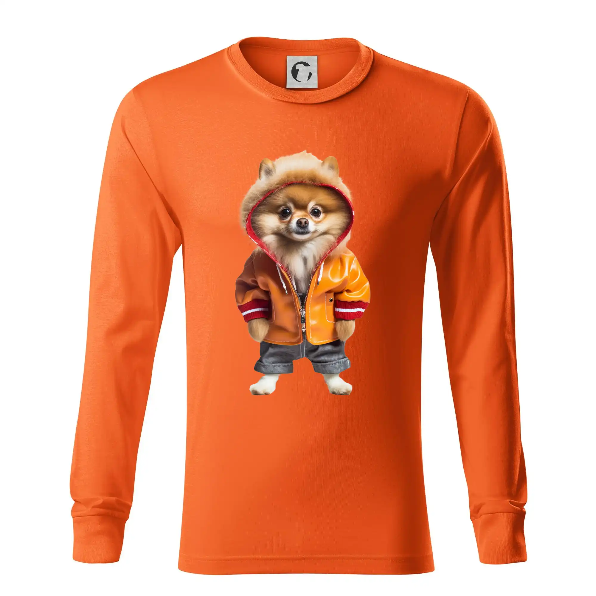 Pomeranian v bundě