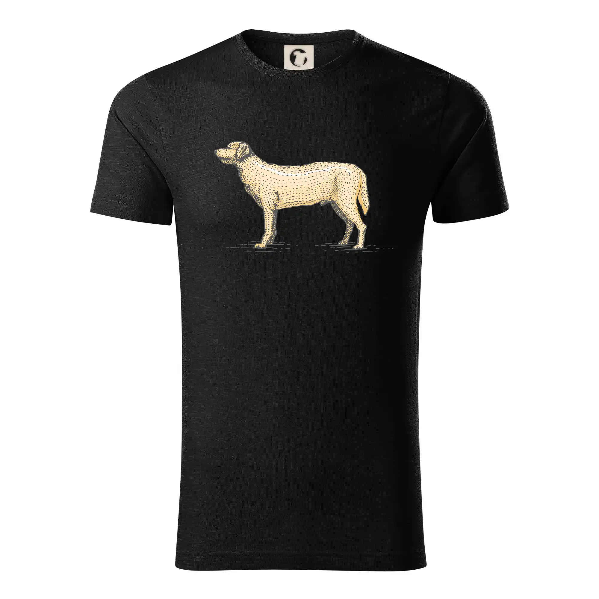 Vintage Labrador