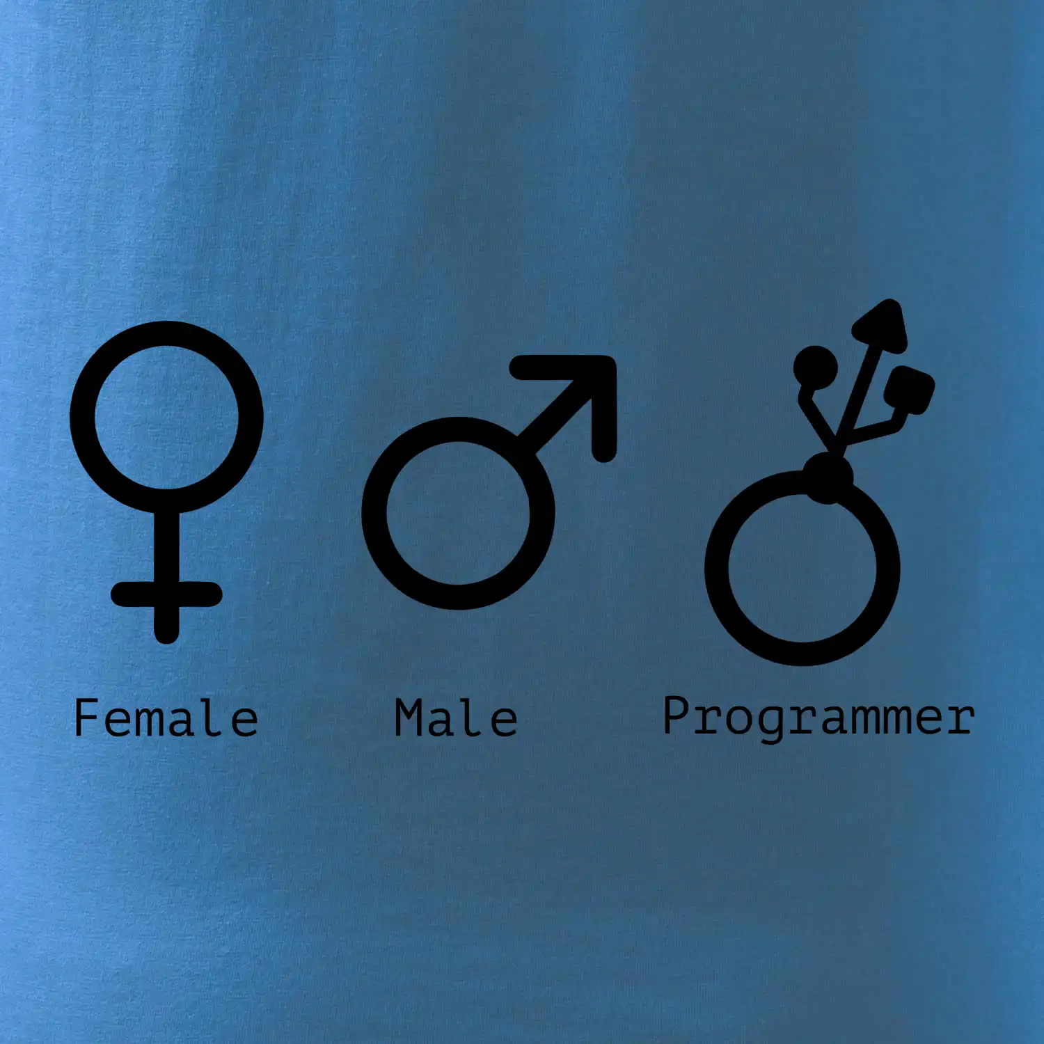 Female male programmer