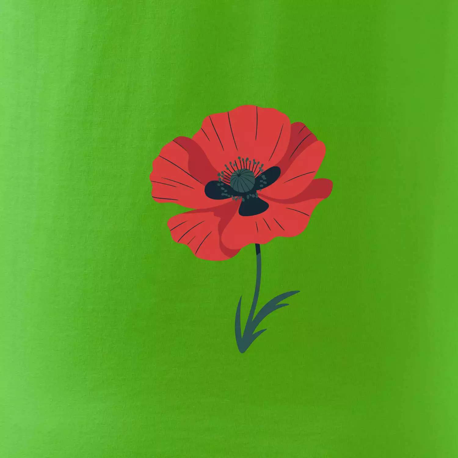Vlčí mák kreslený velký