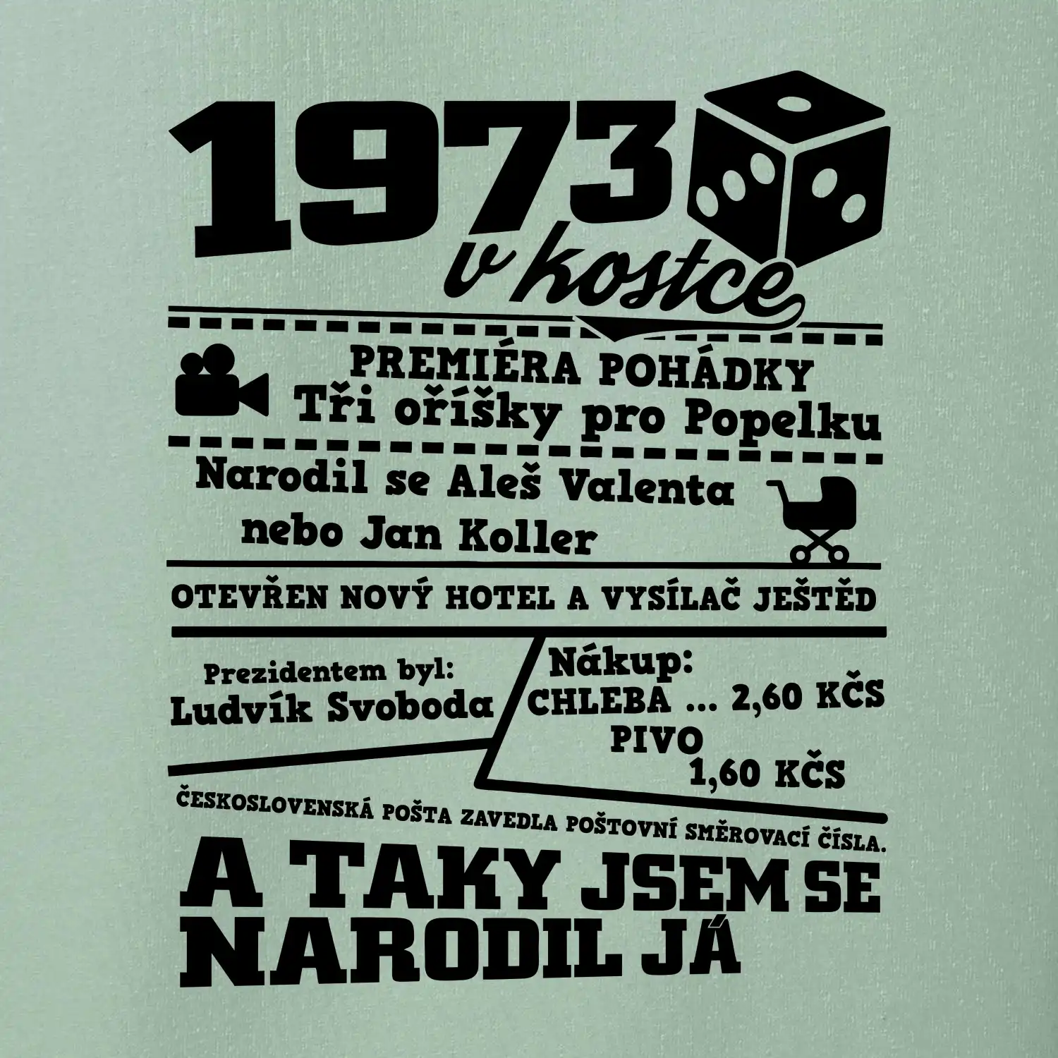 1973 v kostce