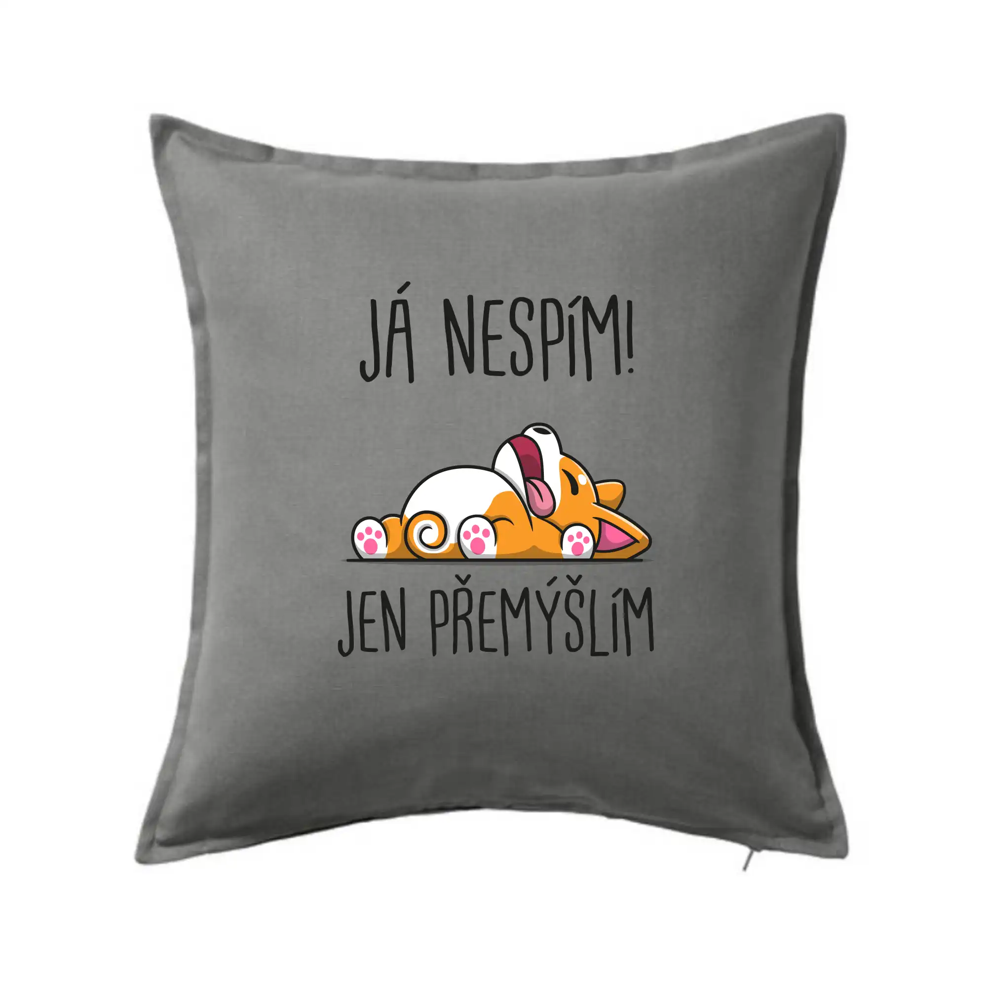 Já nespím, jen přemýšlím