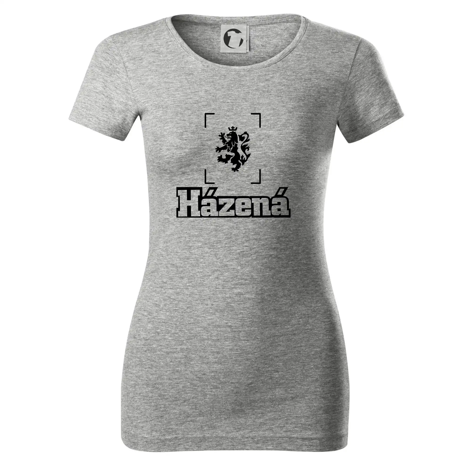Národní házená lev