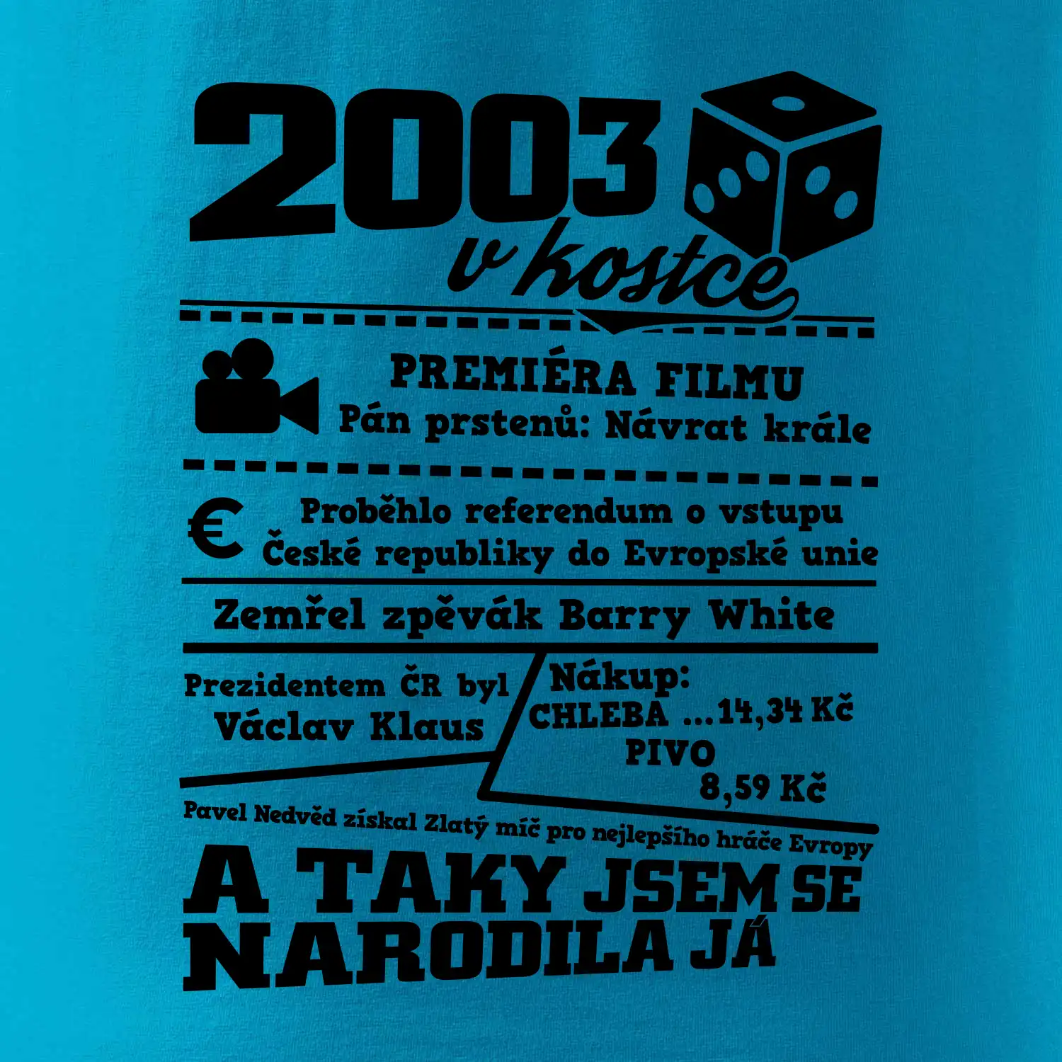 2003 v kostce