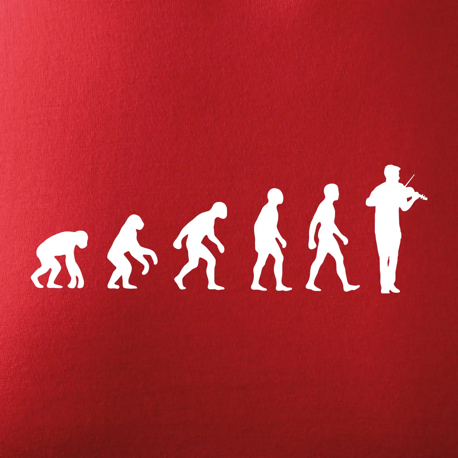 Evoluce houslista