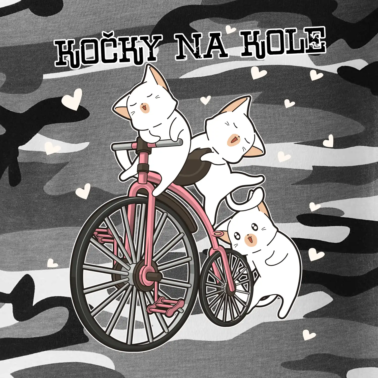 Kočky na kole