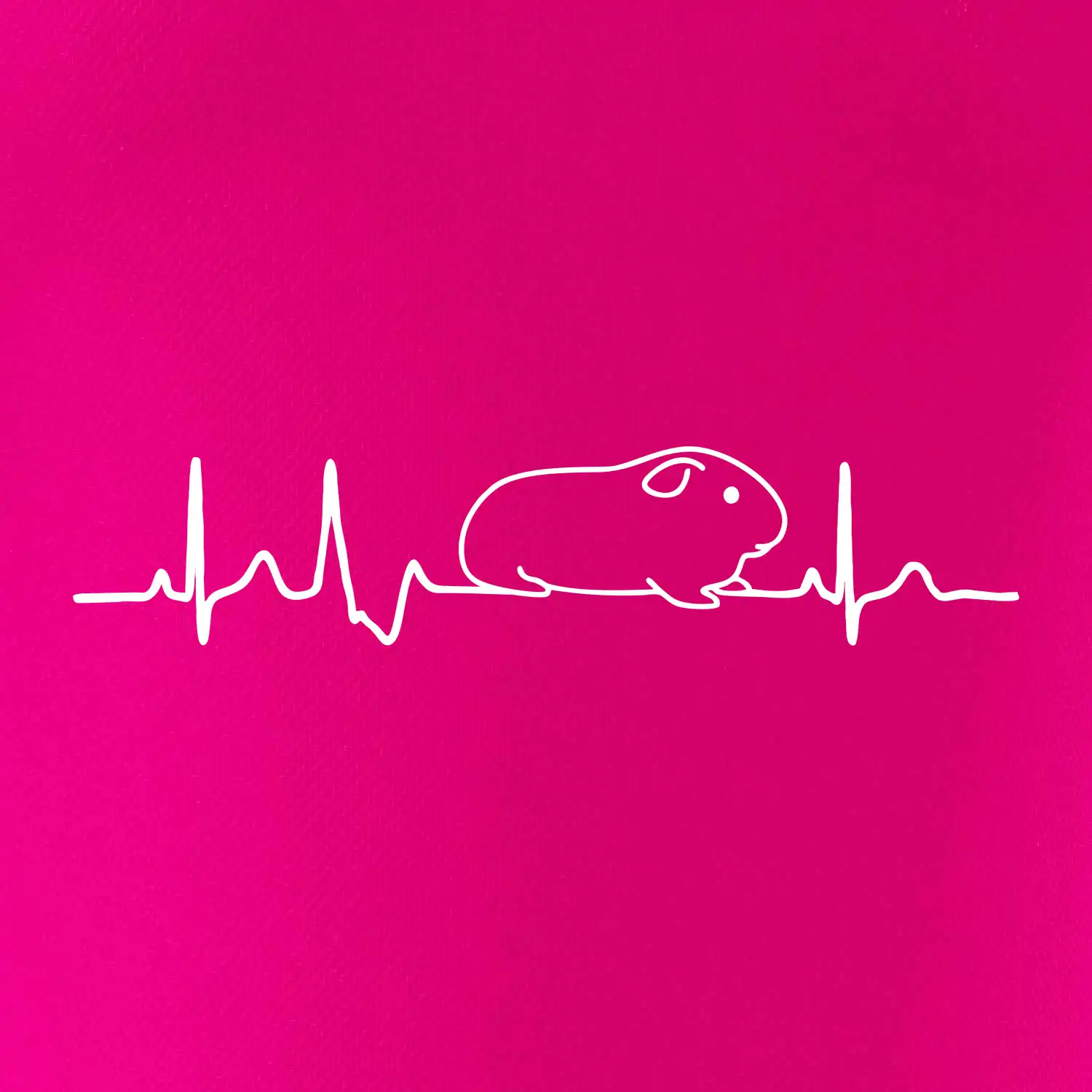 EKG morče