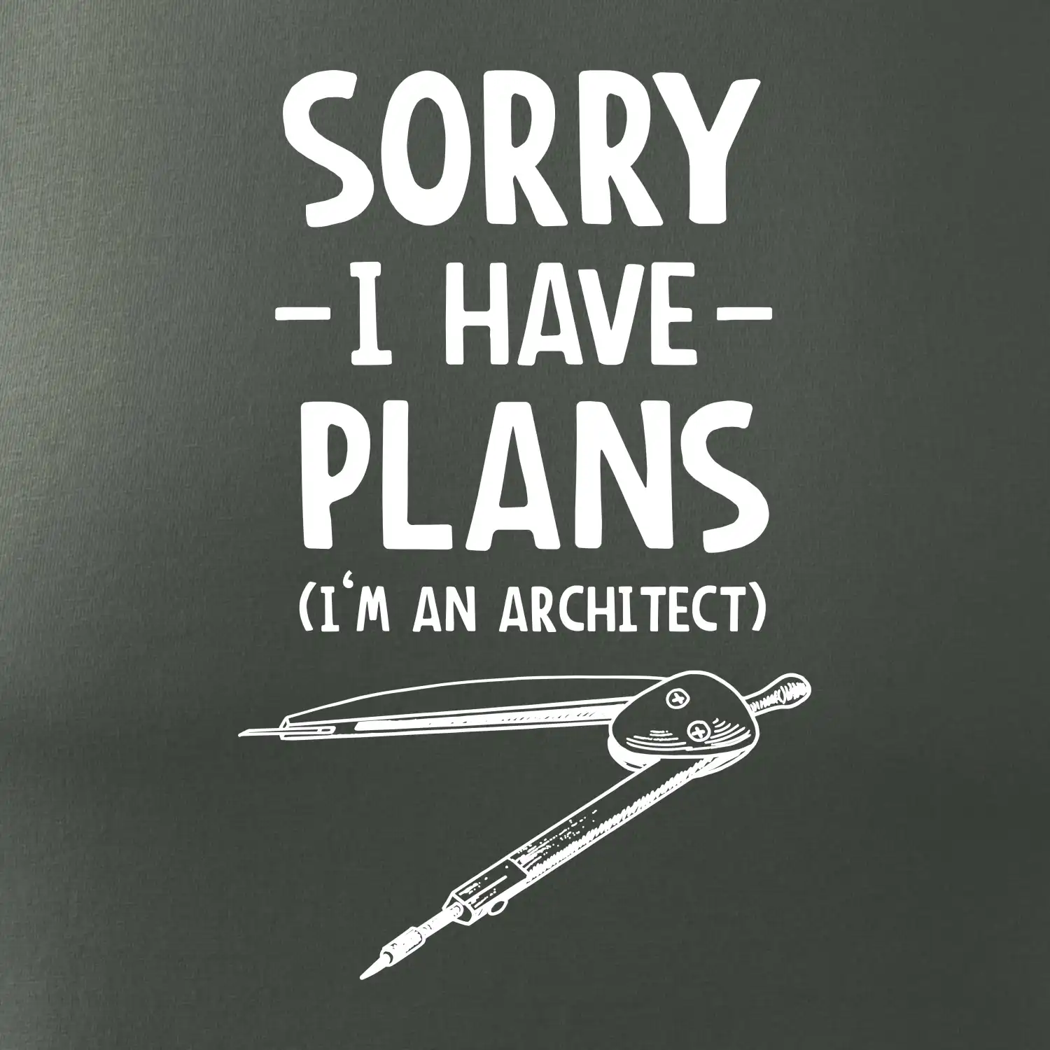 Sorry I have plans - architect