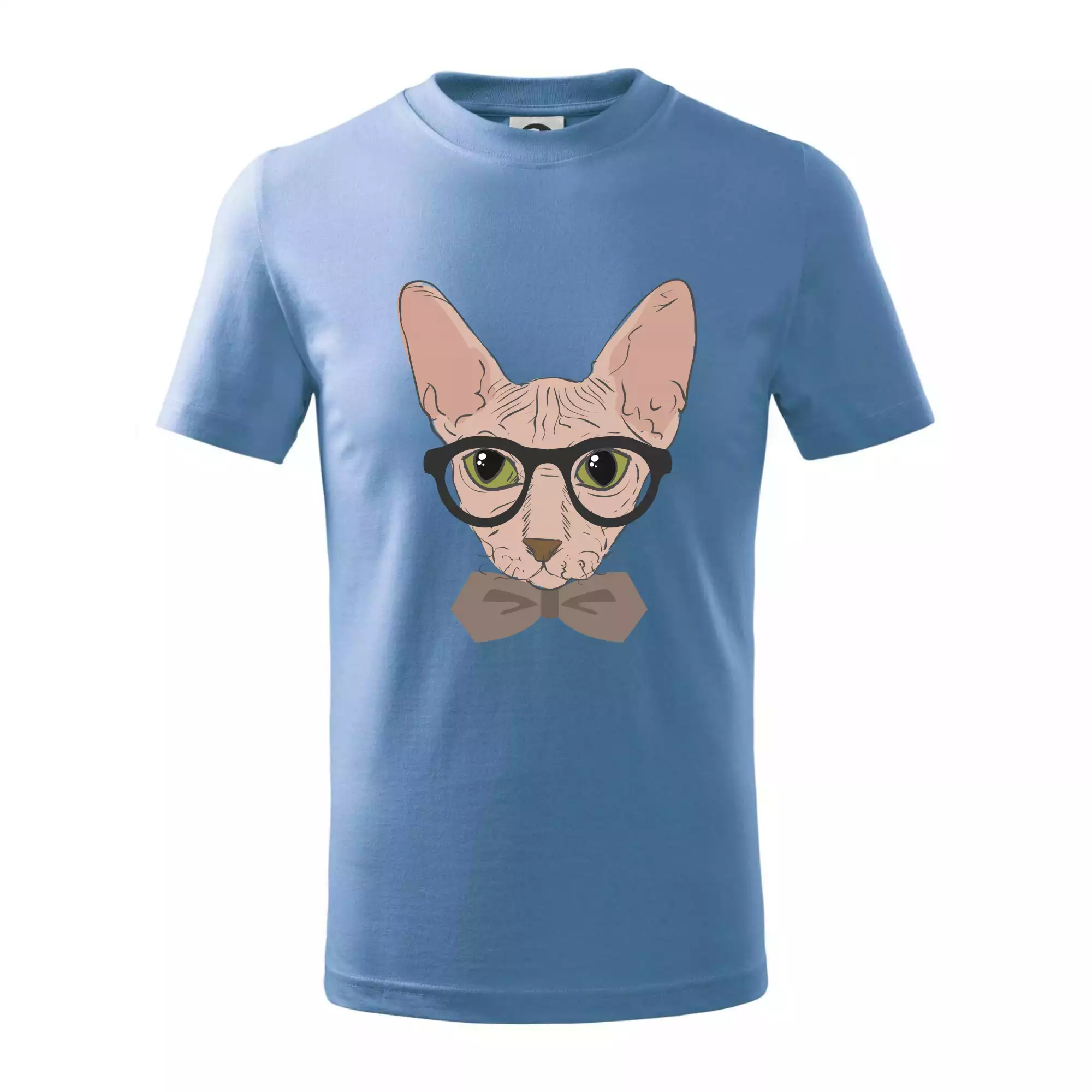 Hipster sphynx