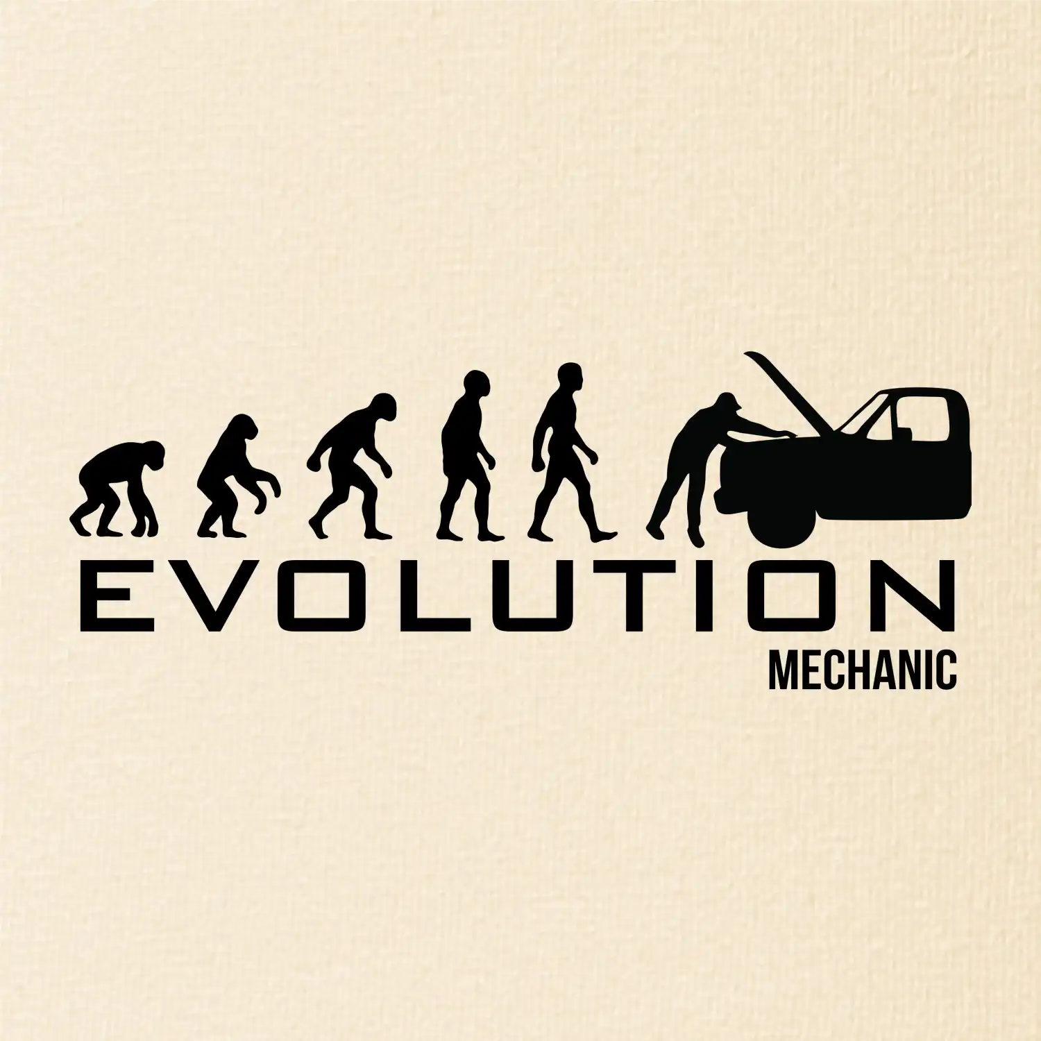 Evoluce mechanik