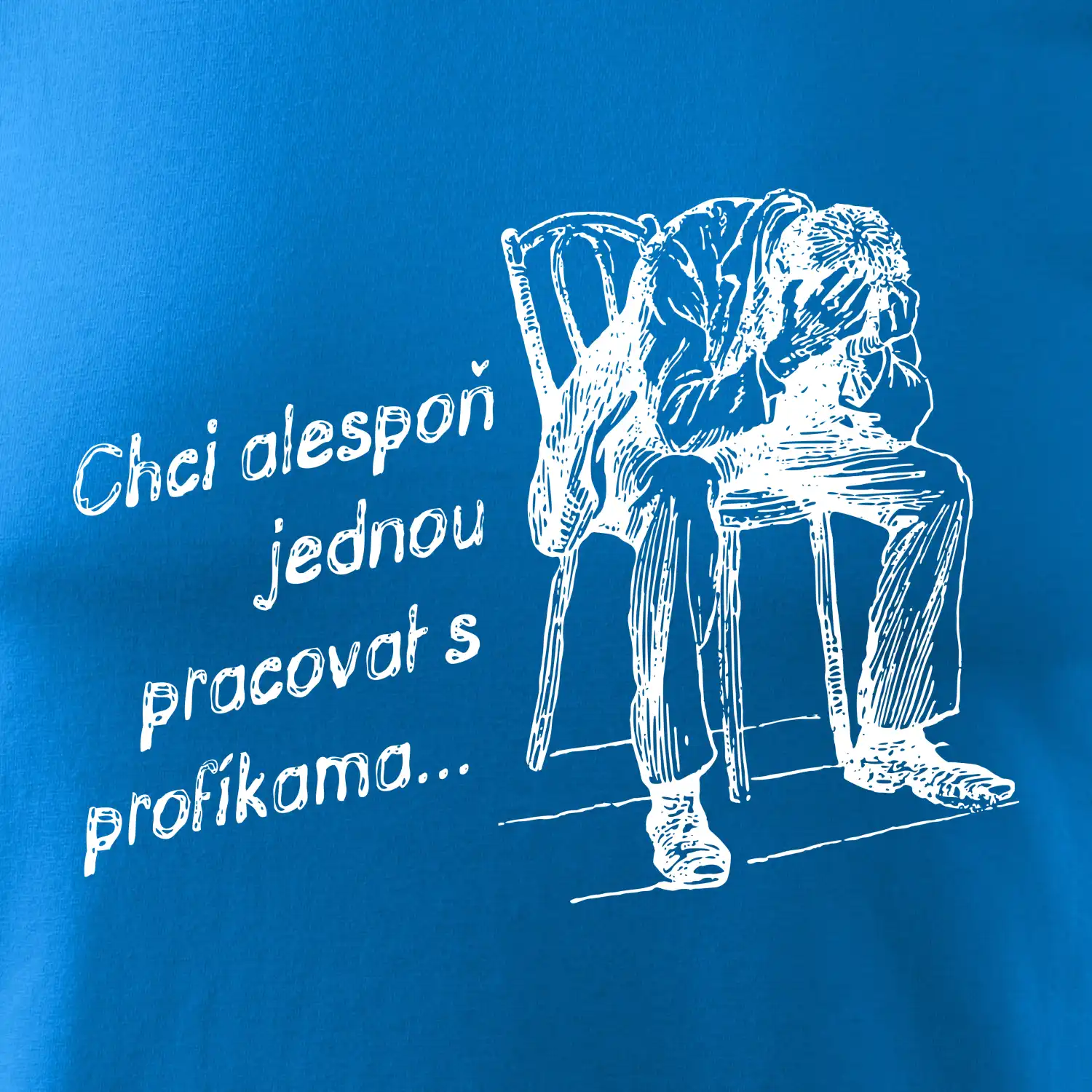 Chci alespoň jednou pracovat s profíkama
