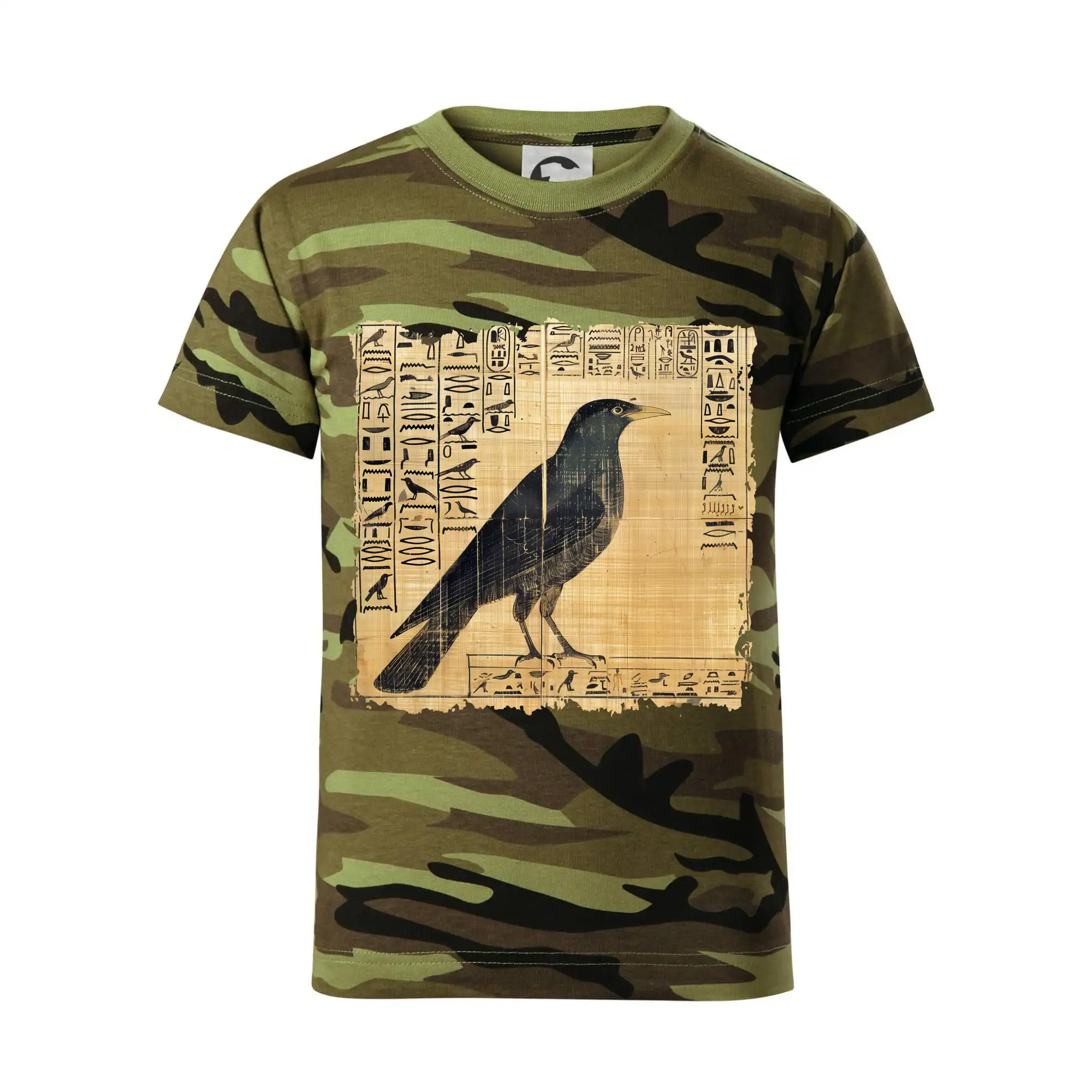 Egyptské hieroglyfy pták