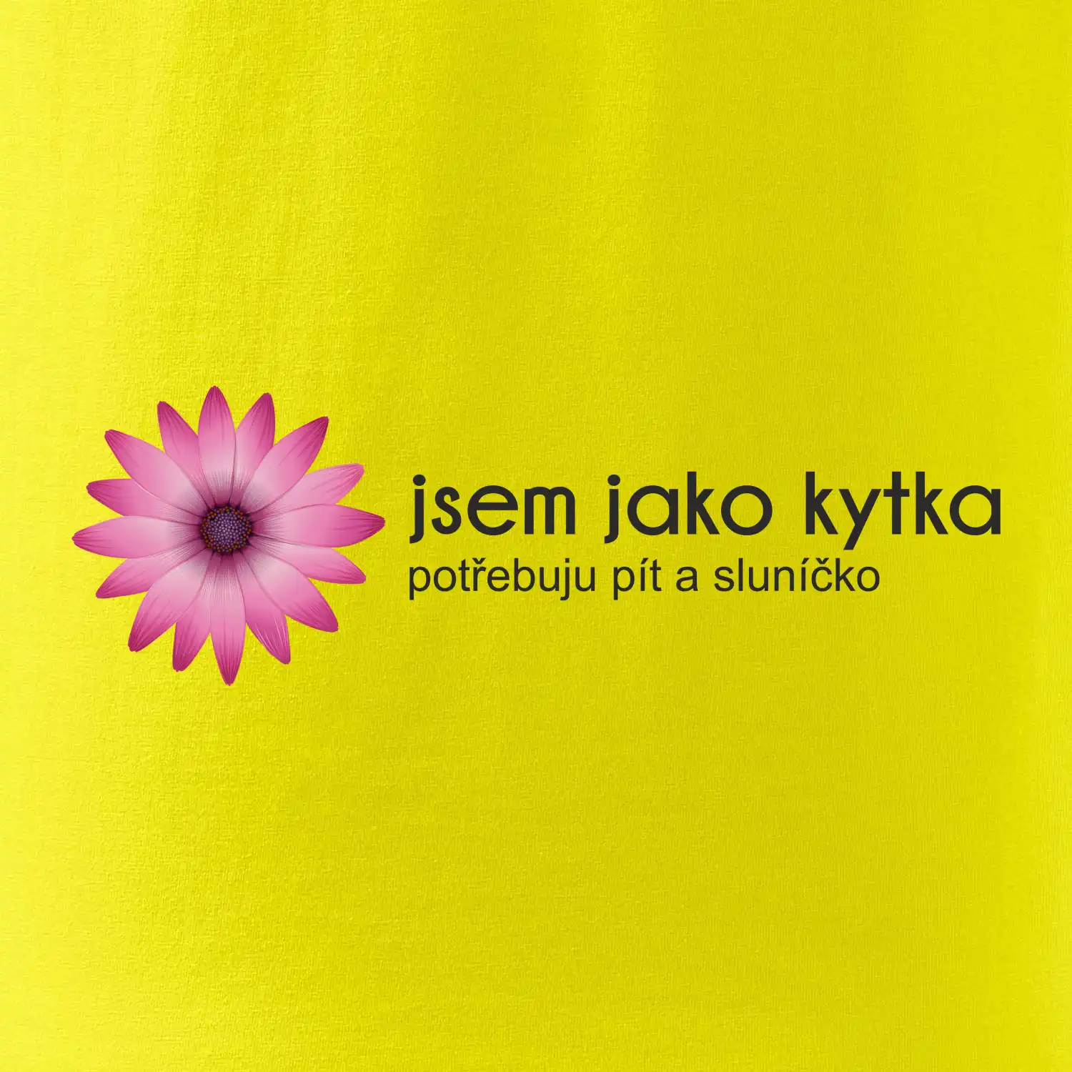 Jsem jako kytka potřebuju pít a sluníčko