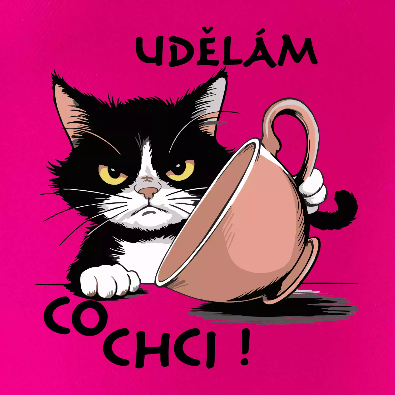 Kočka - udělám co chci