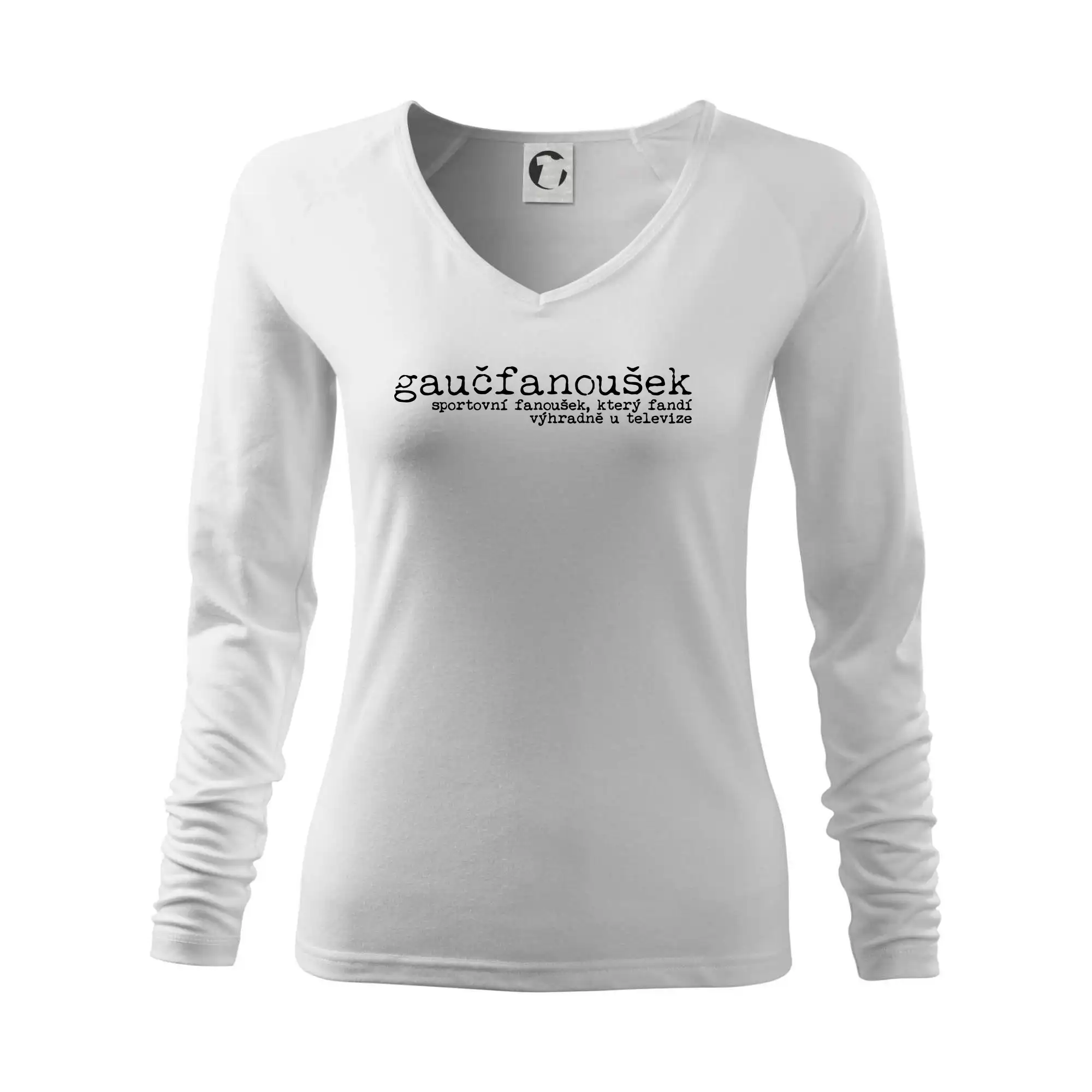 Čeština 2.0 - gaučfanoušek