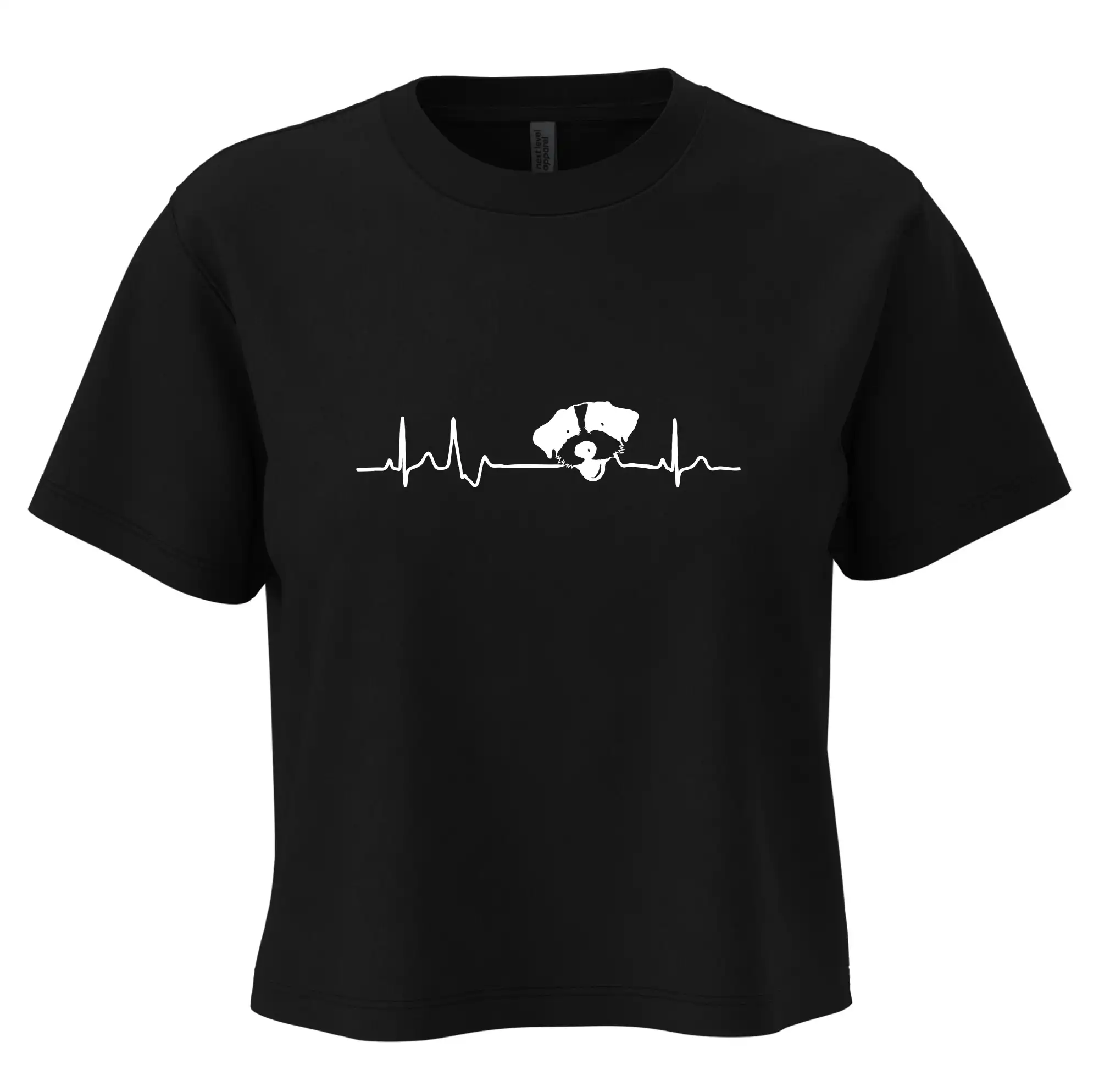 Jack Russell Terriér hrubosrstý Ekg