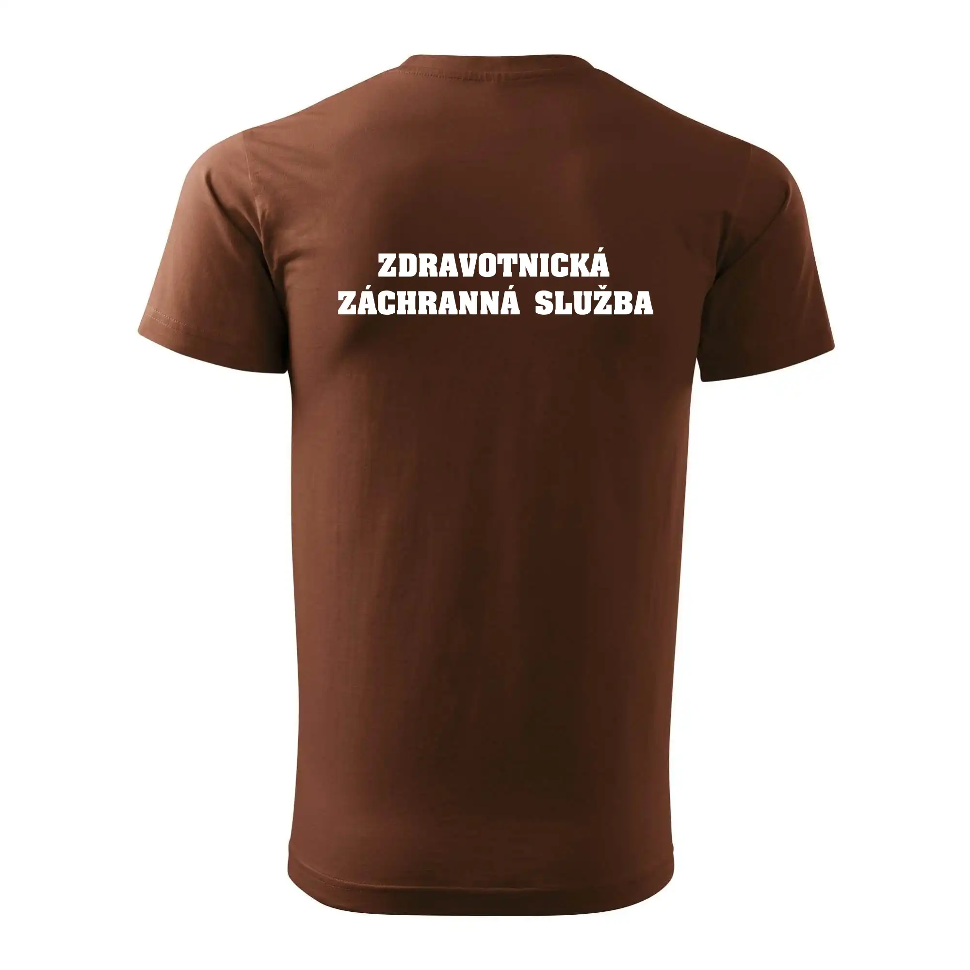 Hvězda života - zdravotnická záchranná služba