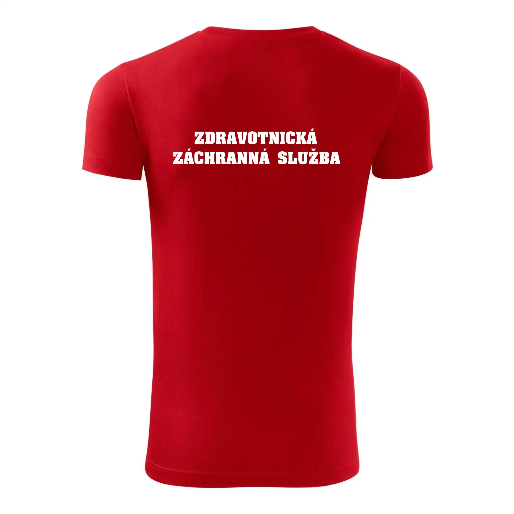 Hvězda života - zdravotnická záchranná služba