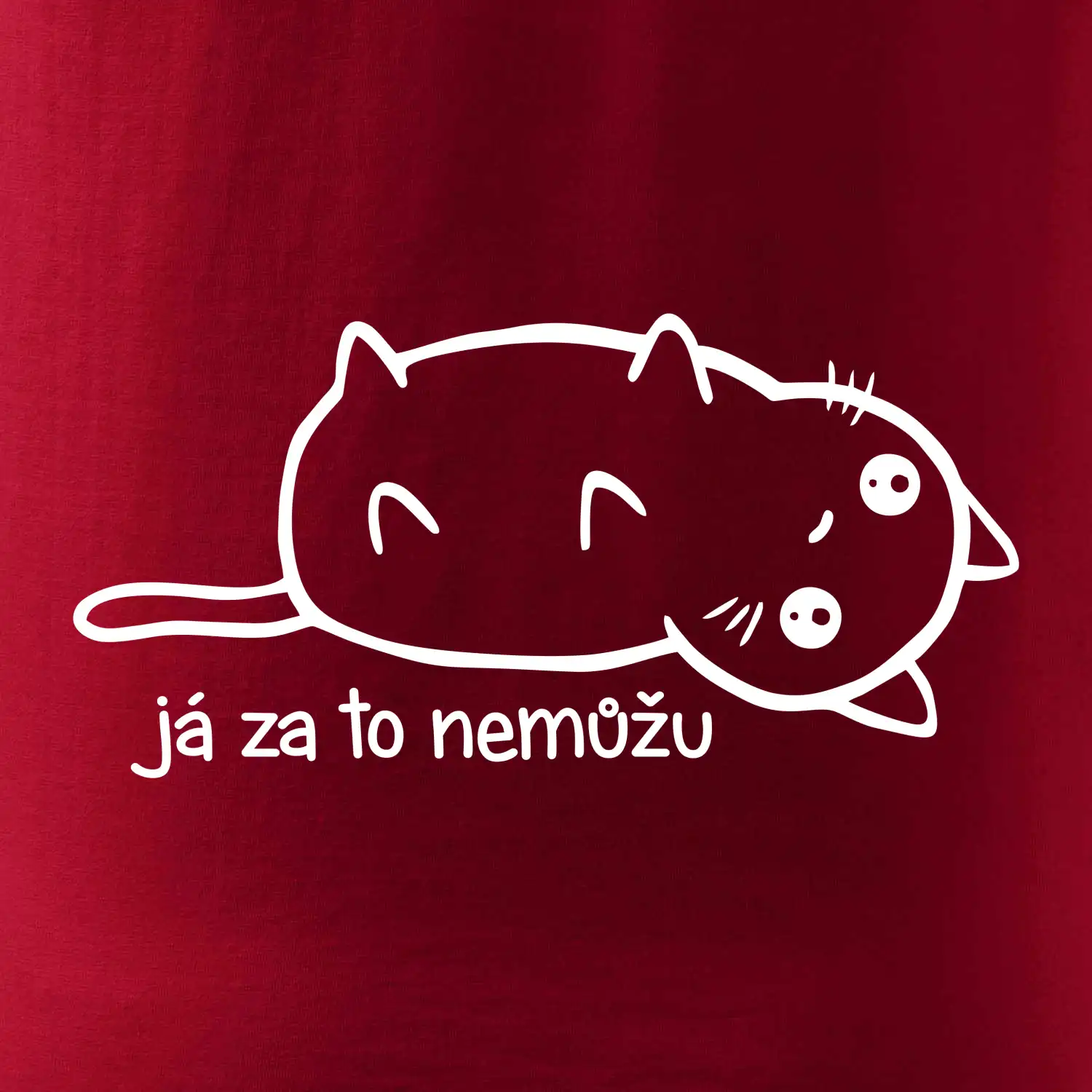 Já za to nemůžu