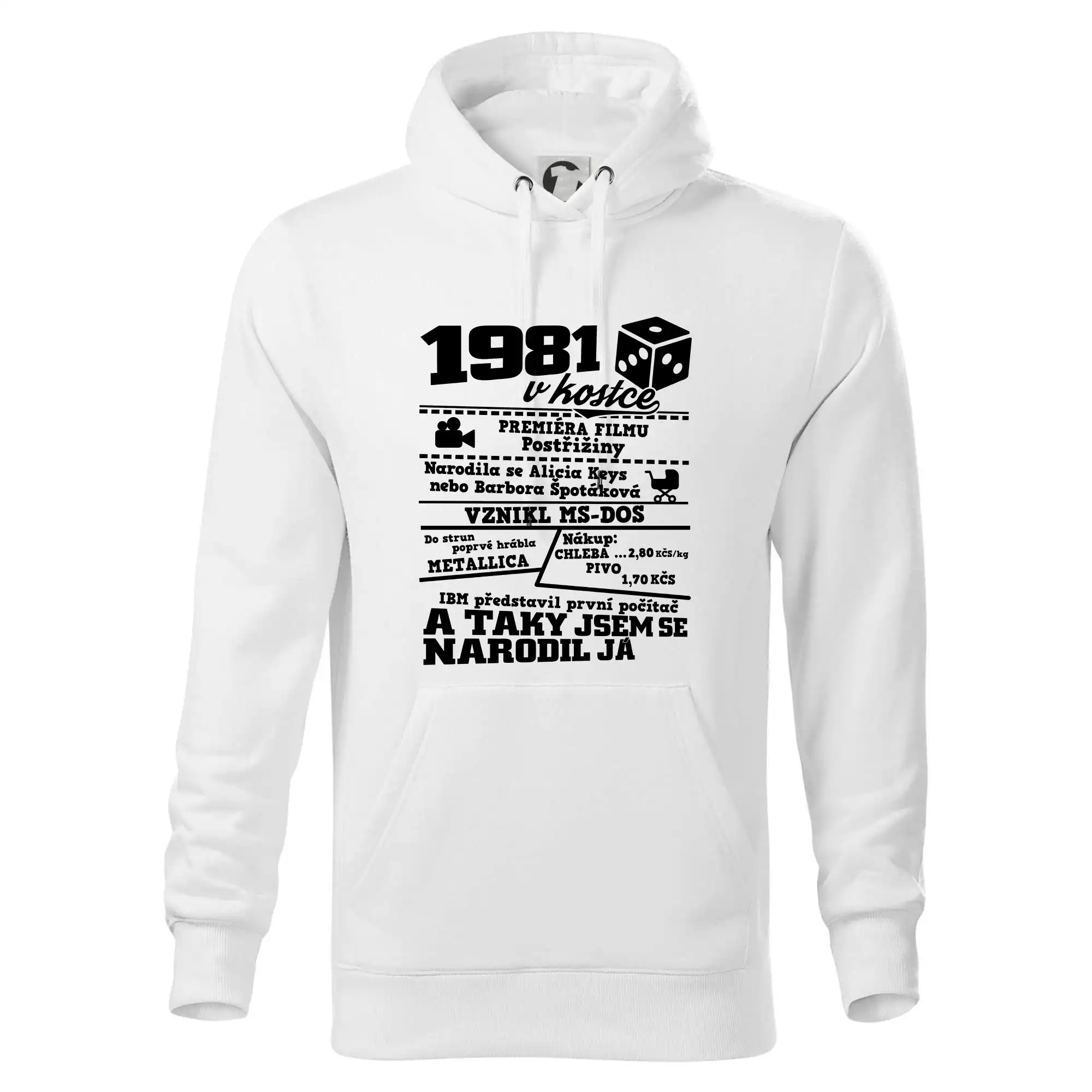 1981 v kostce