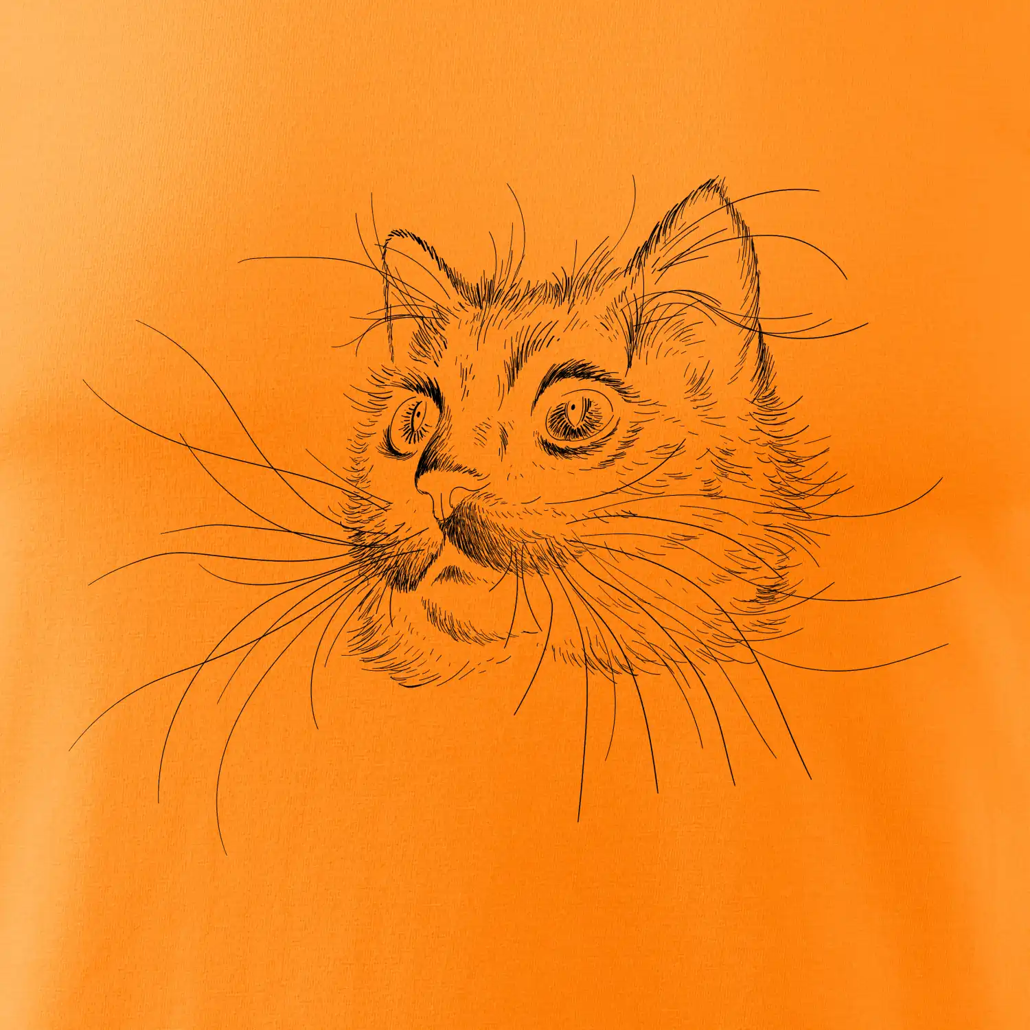 Kočka ilustrace