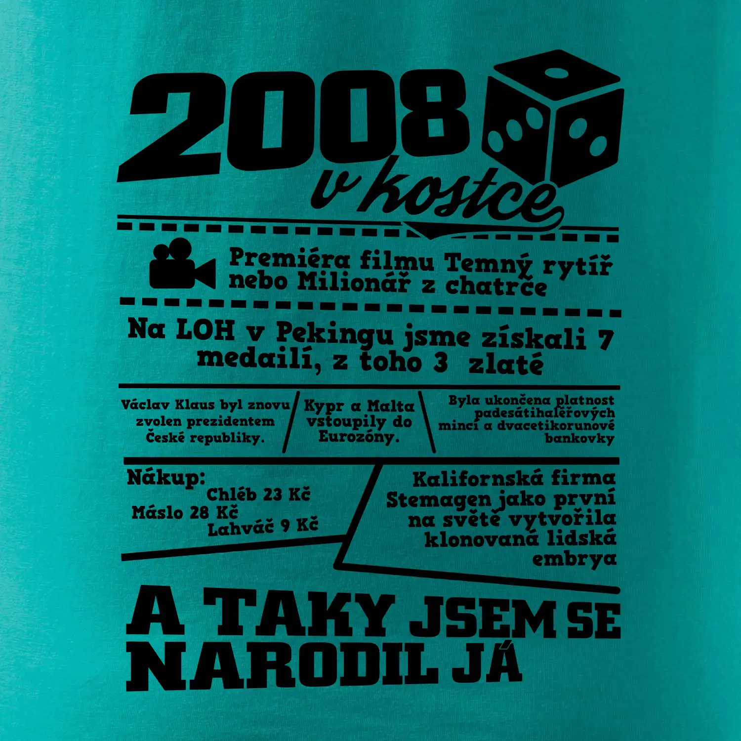 2008 v kostce
