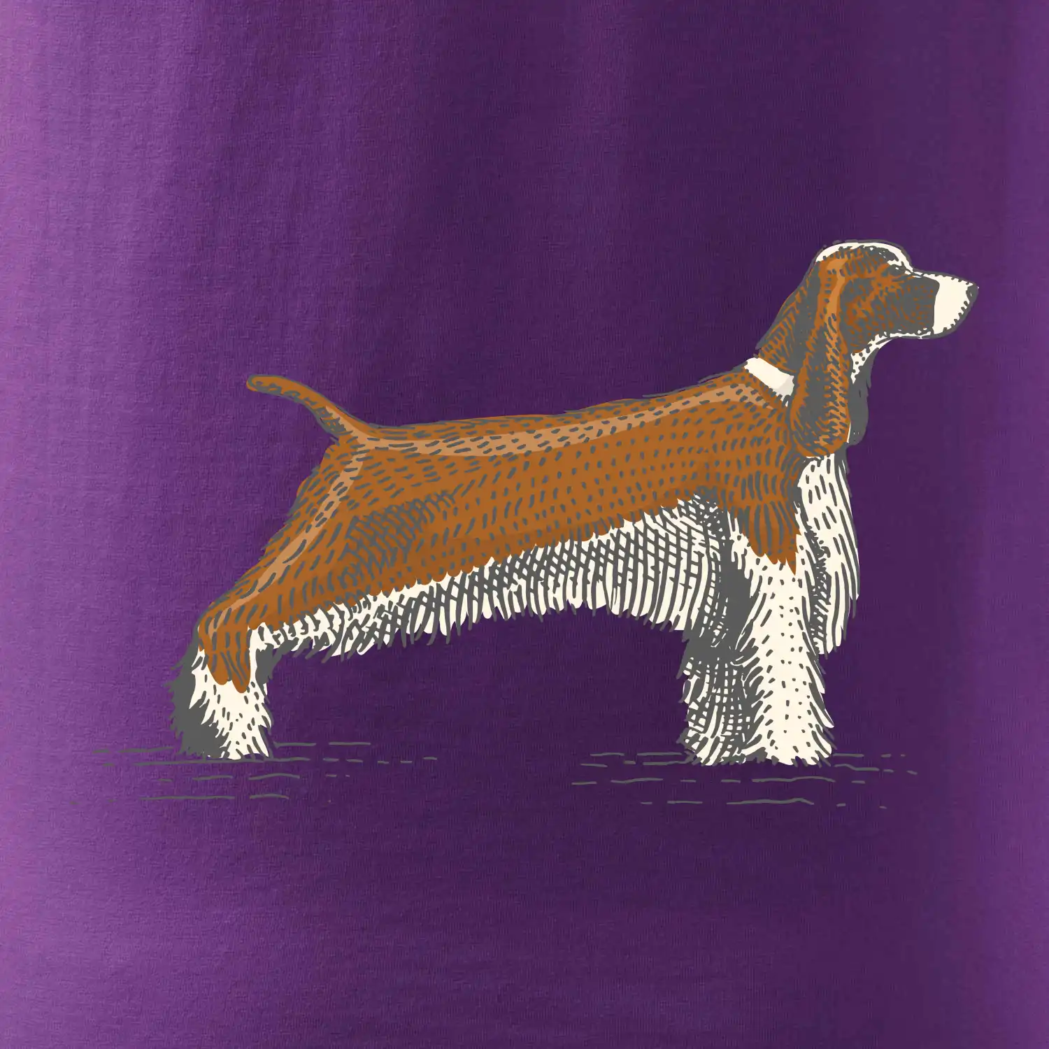 Vintage Springer spaniel