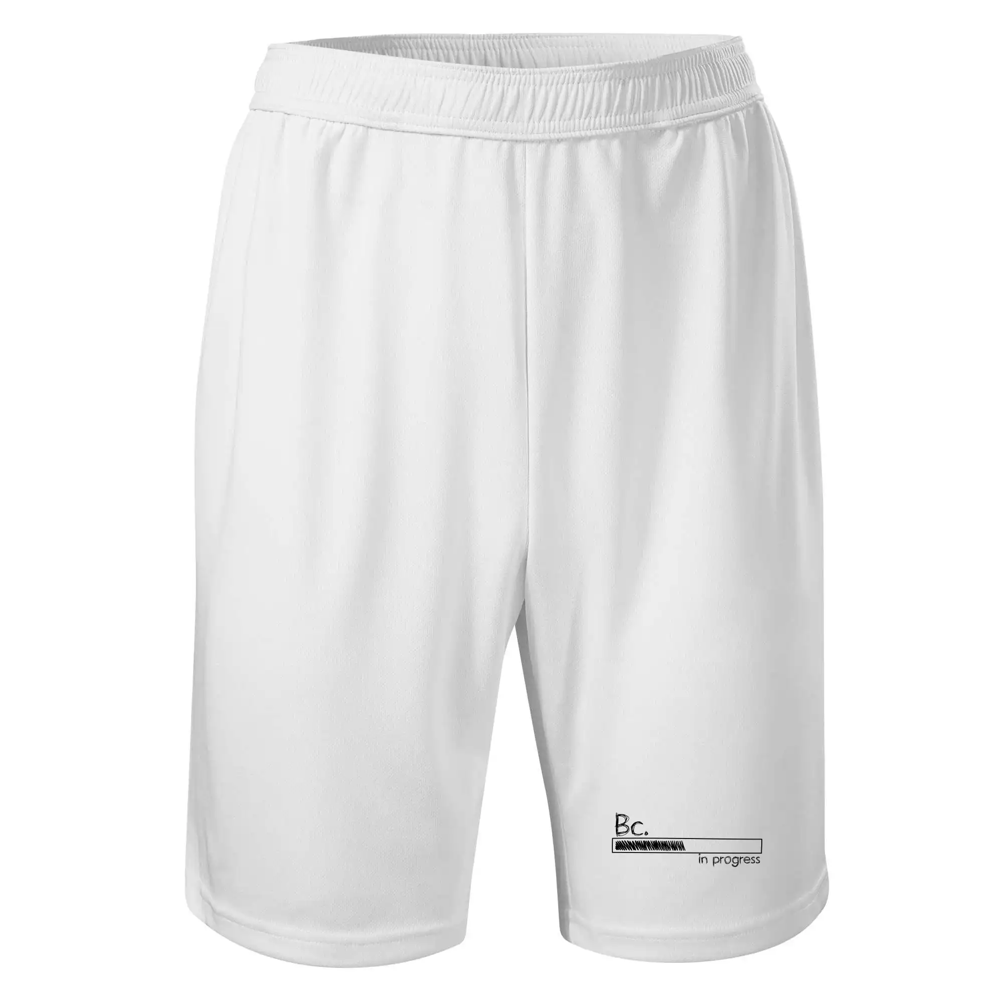 In progress  titul Bc. bakalář / bakalářka