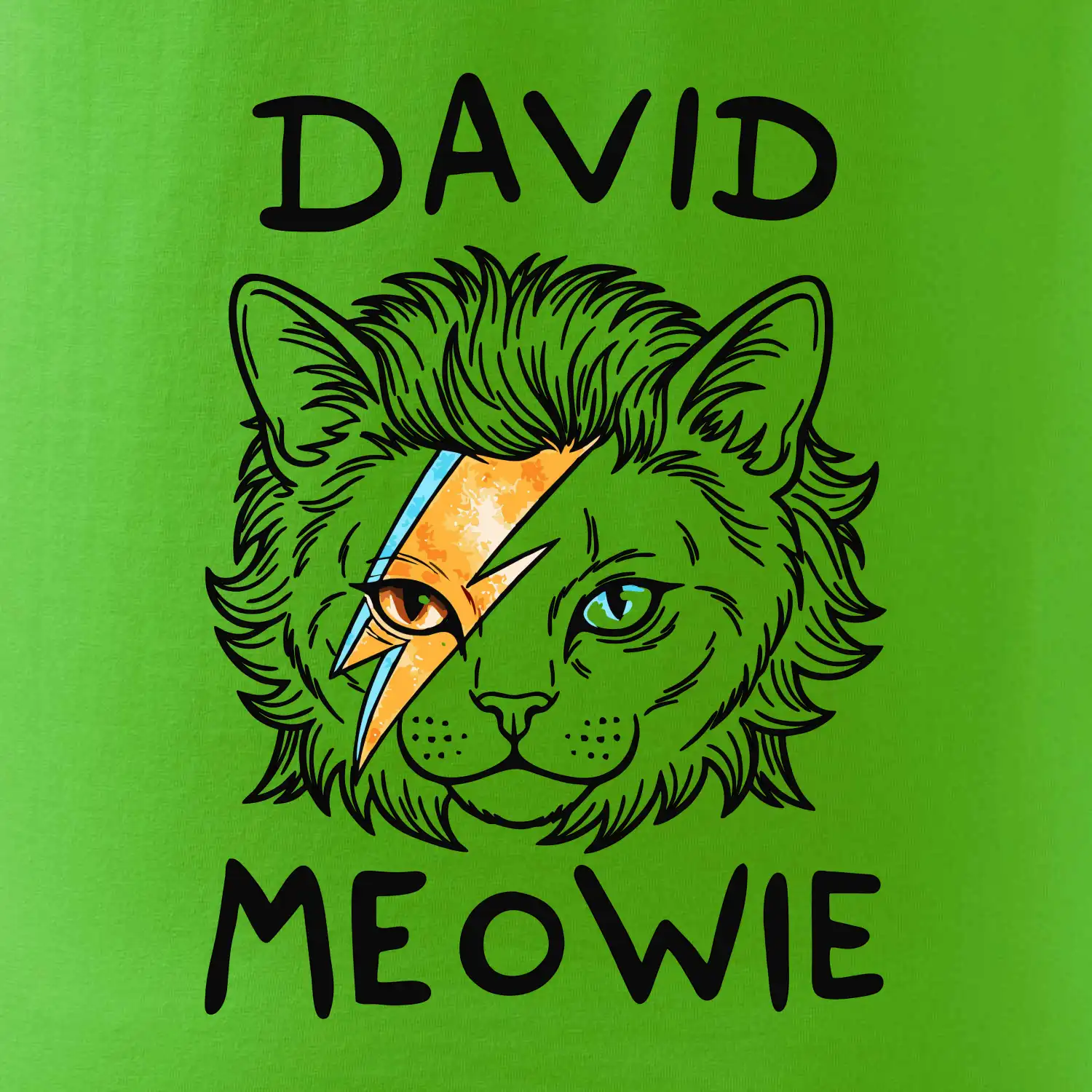 David Meowie