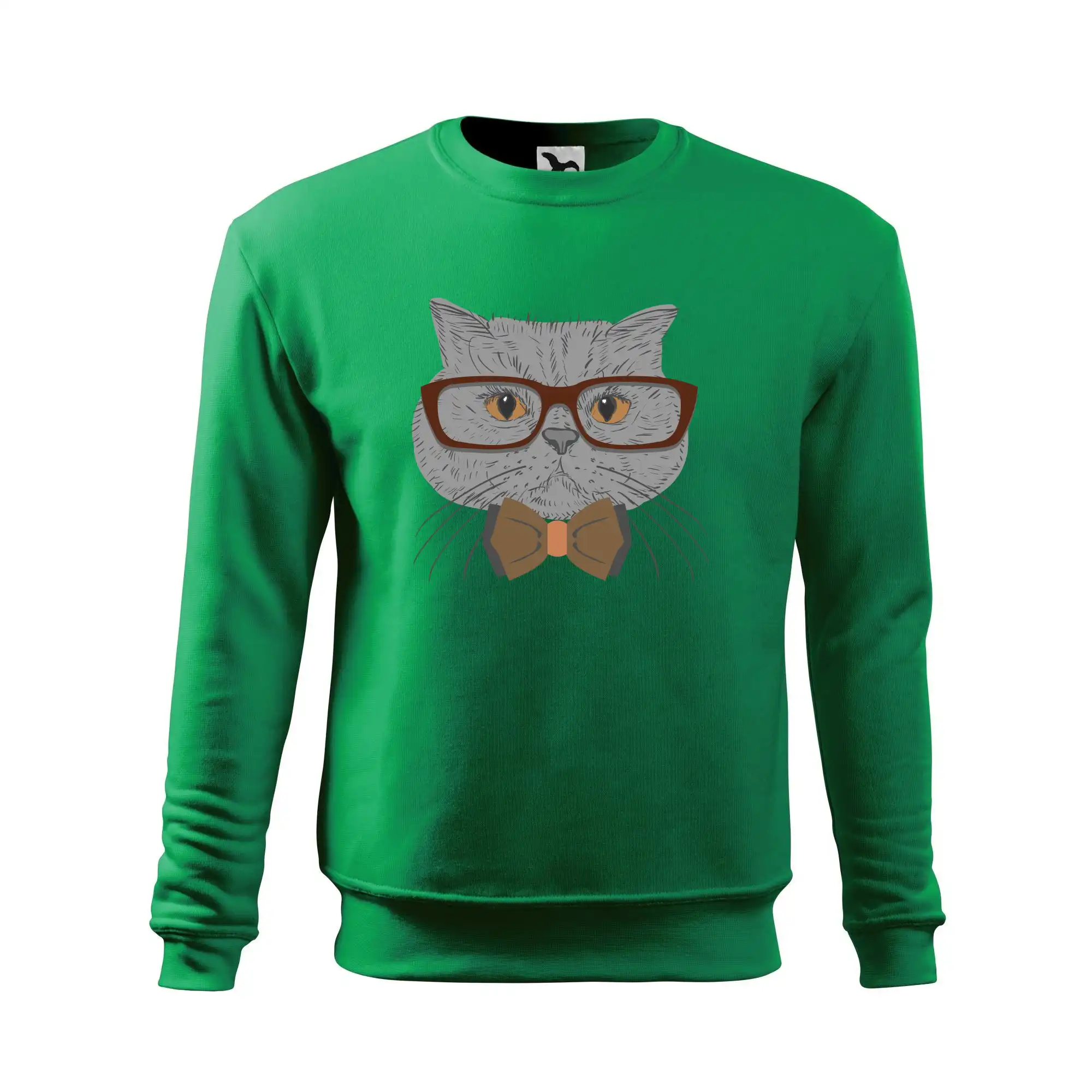 Hipster britská modrá