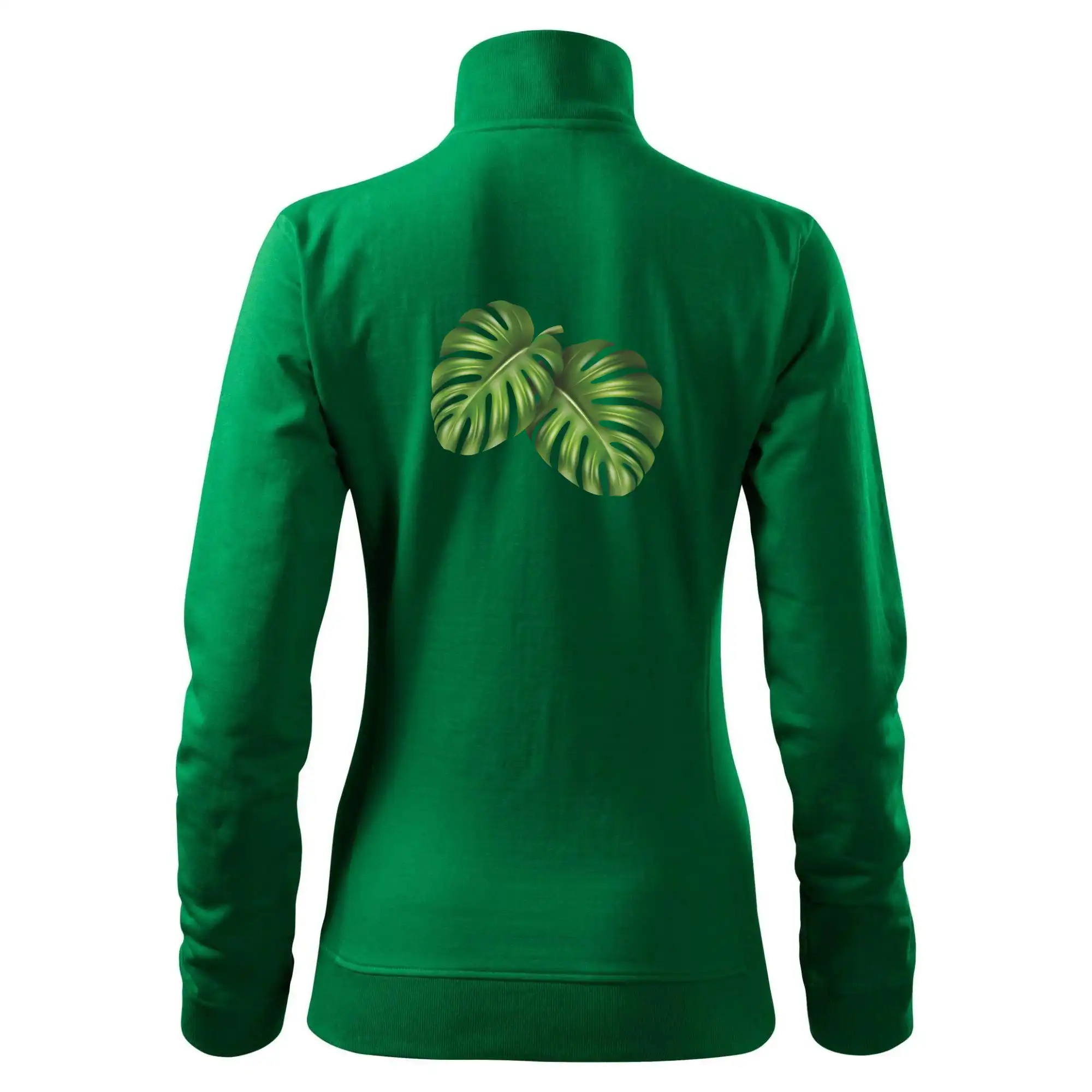 Monstera - dva listy