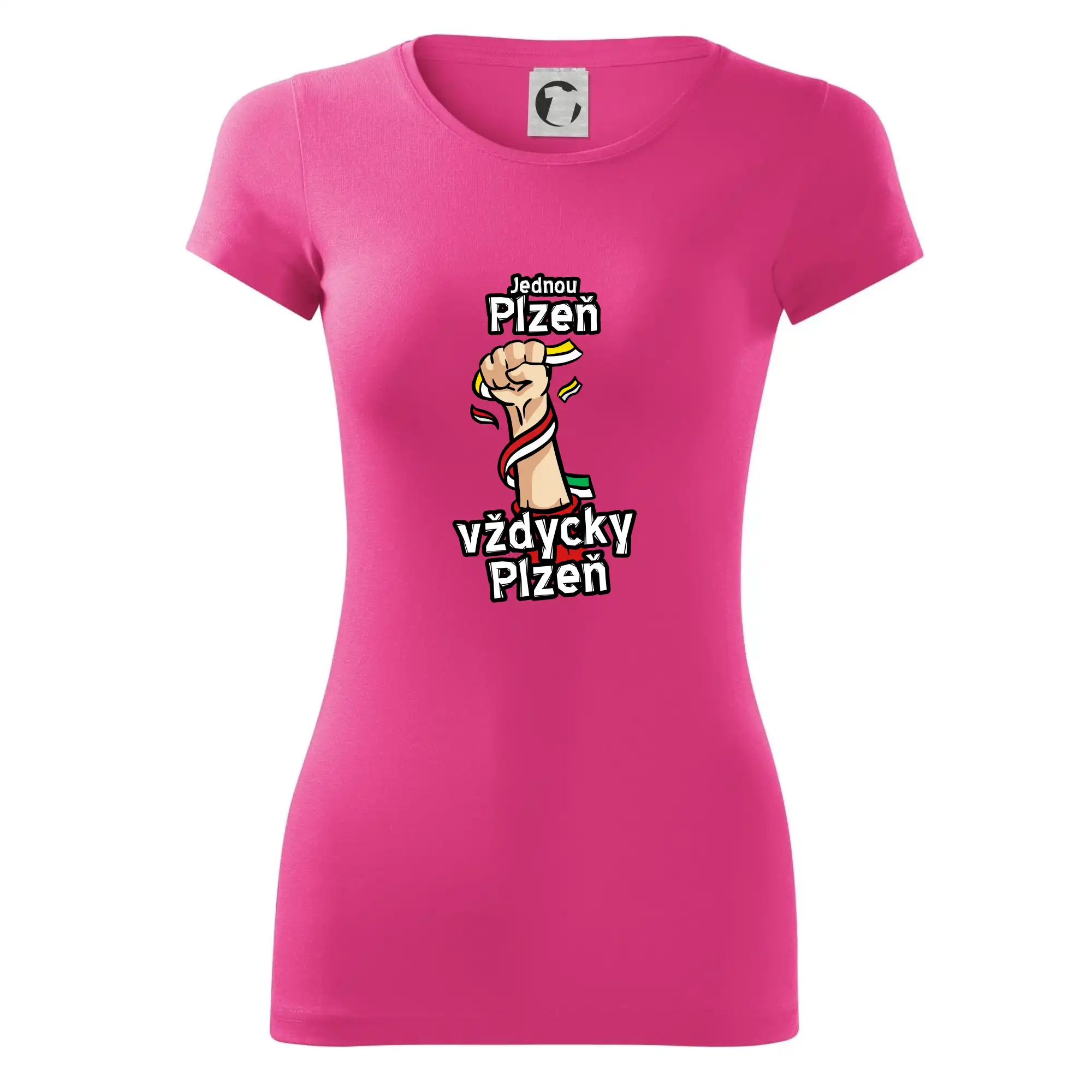 Jednou Plzeň vždycky Plzeň