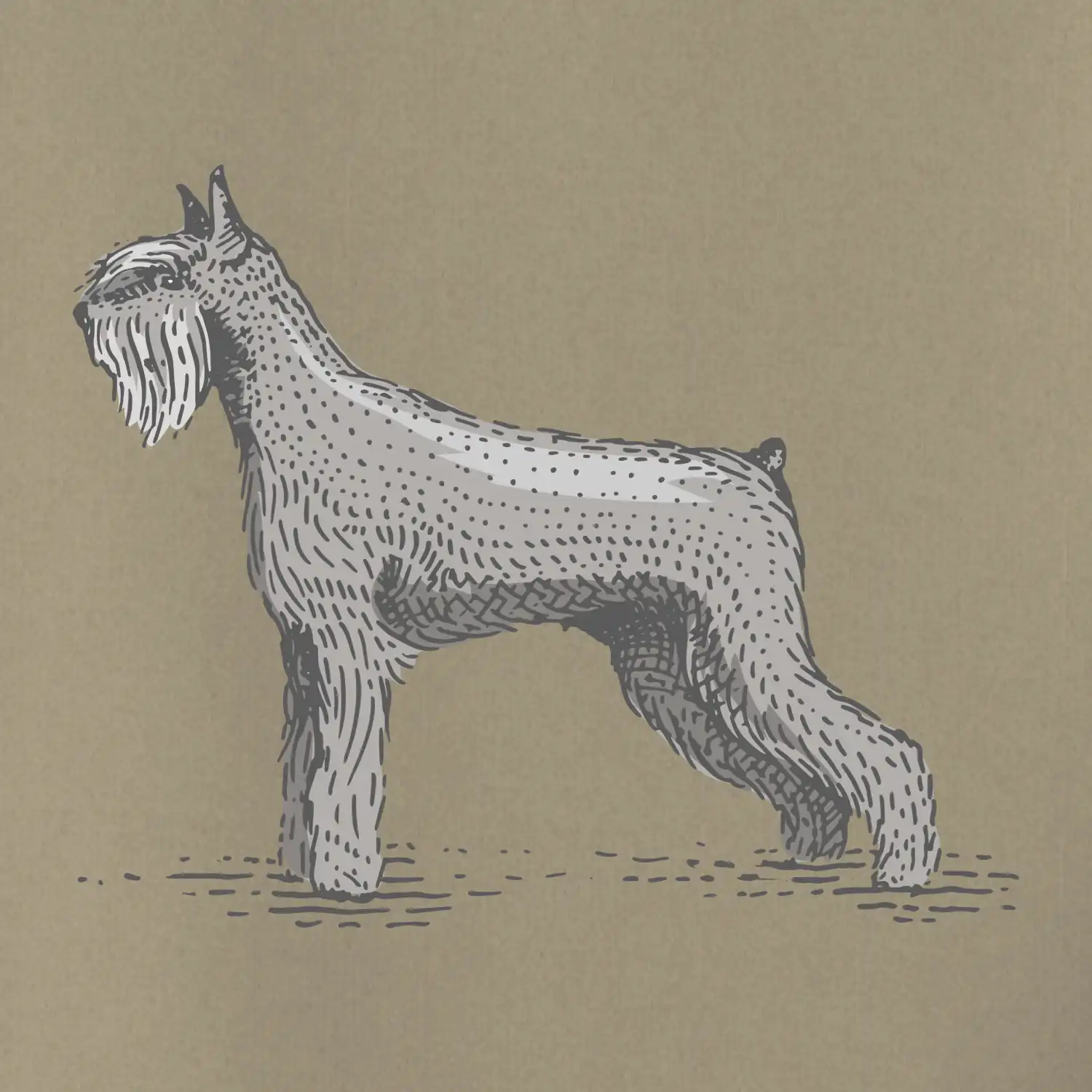 Vintage Schnauzer