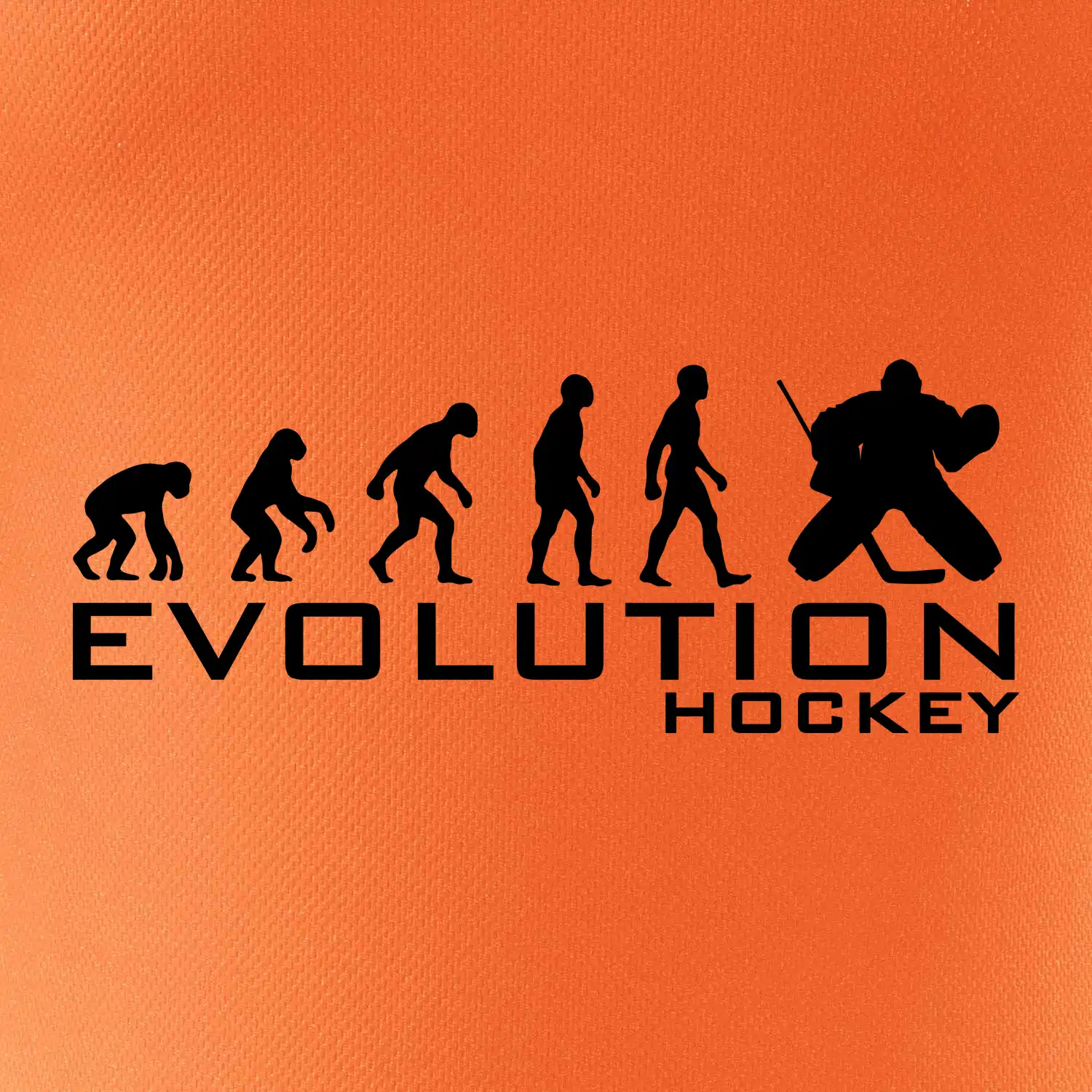 Evoluce Hockey brankář