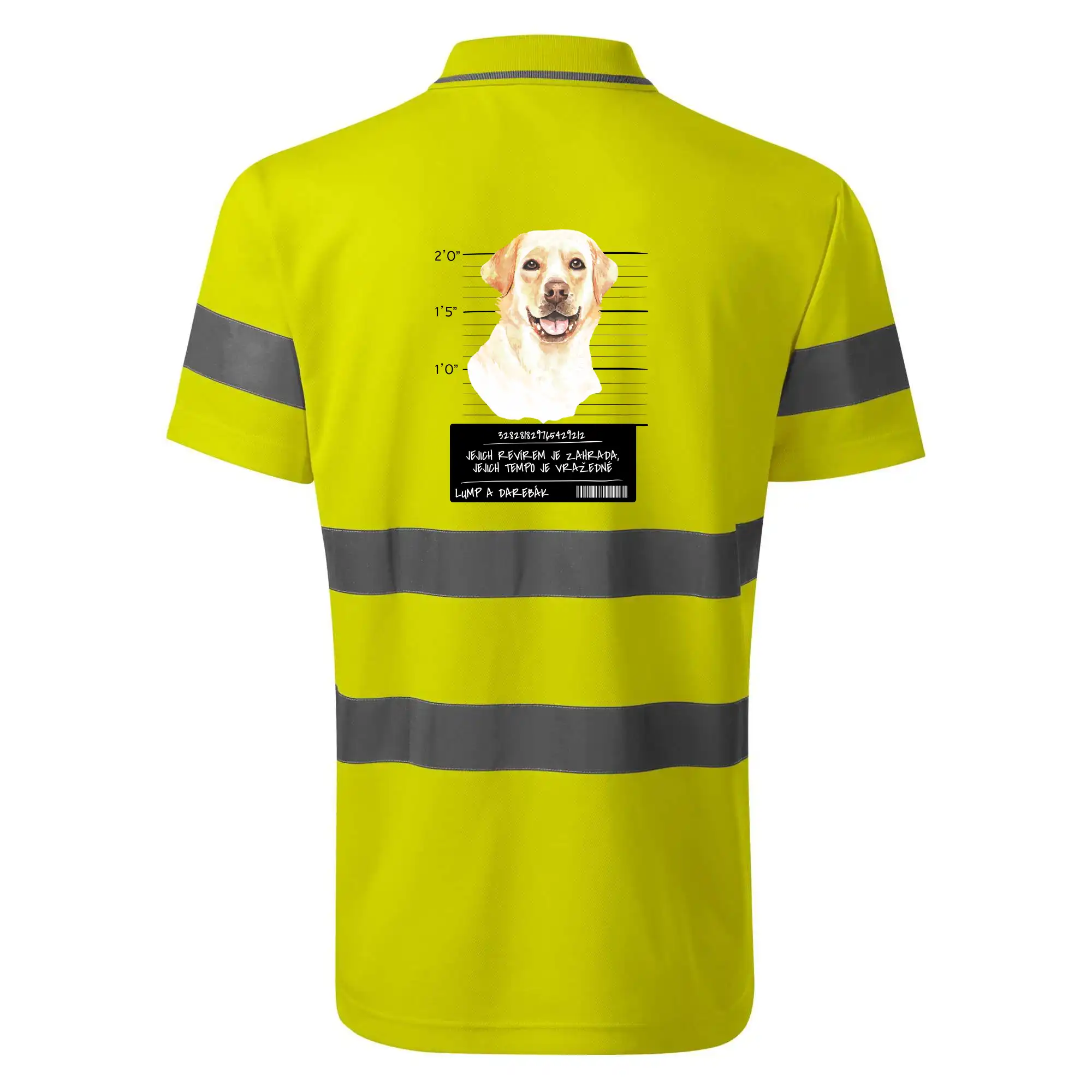 Lump a darebák labrador