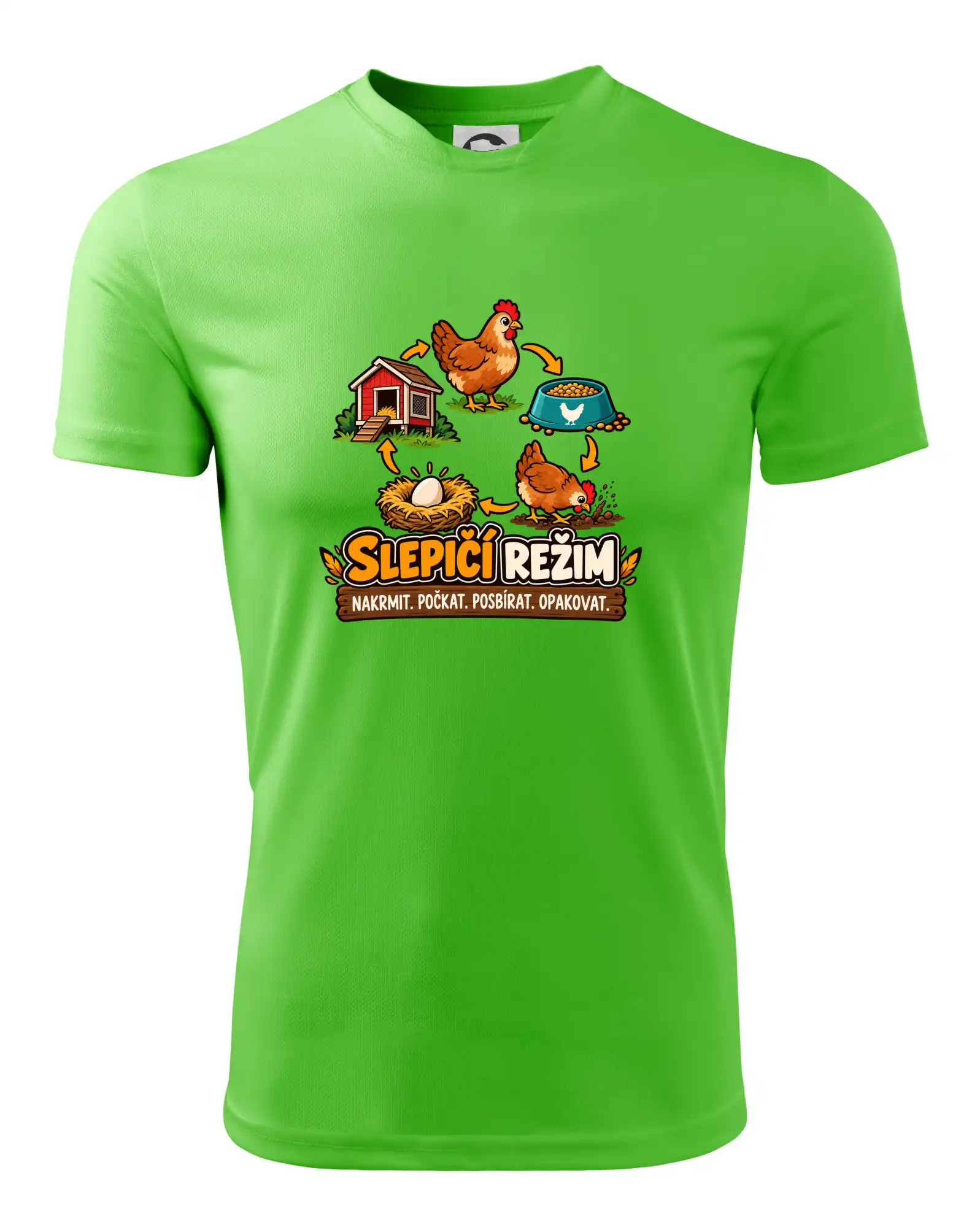 Slepičí režim od krmení po sběr vajec