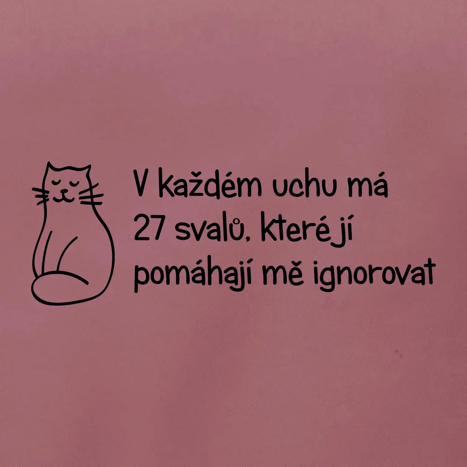 Kočka - 27 svalů