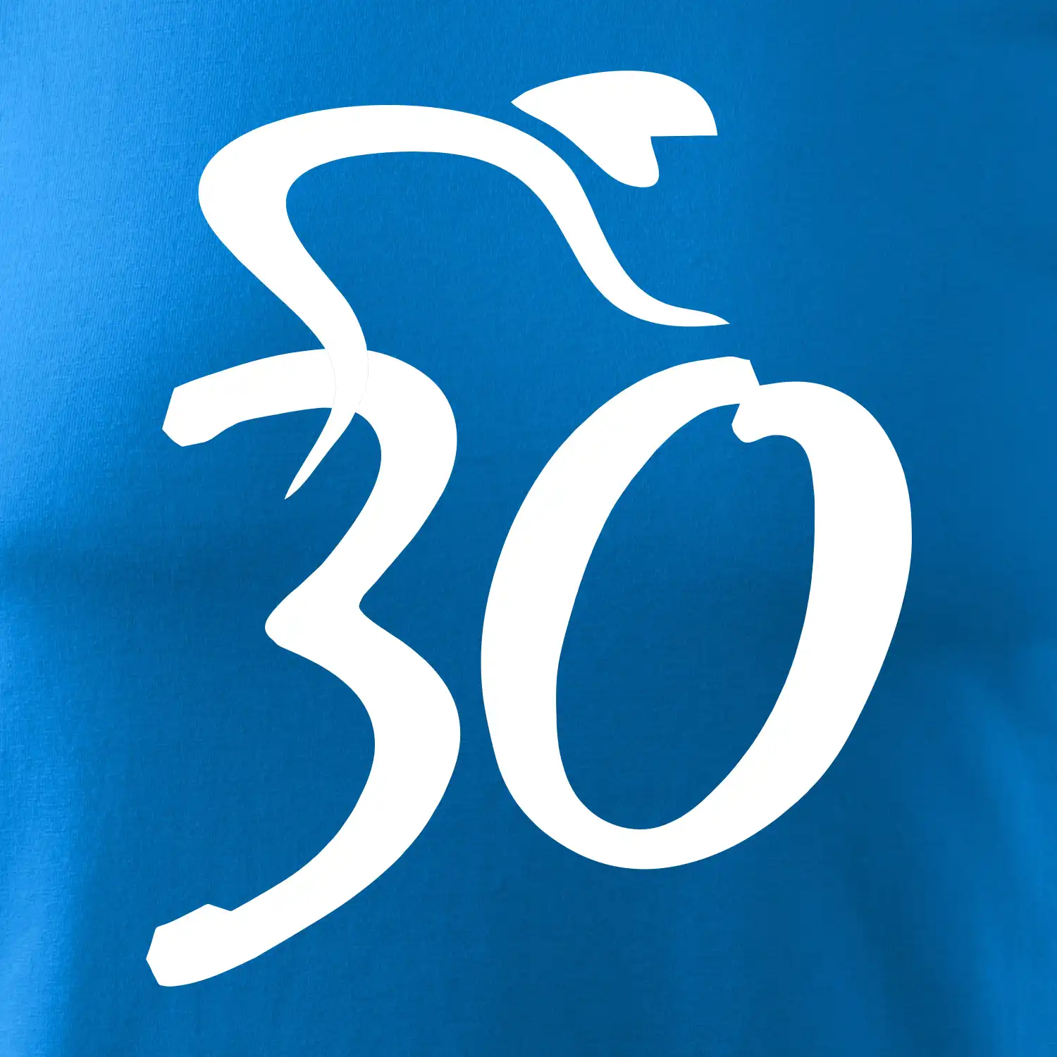 Cyklista slaví třicítku (30)