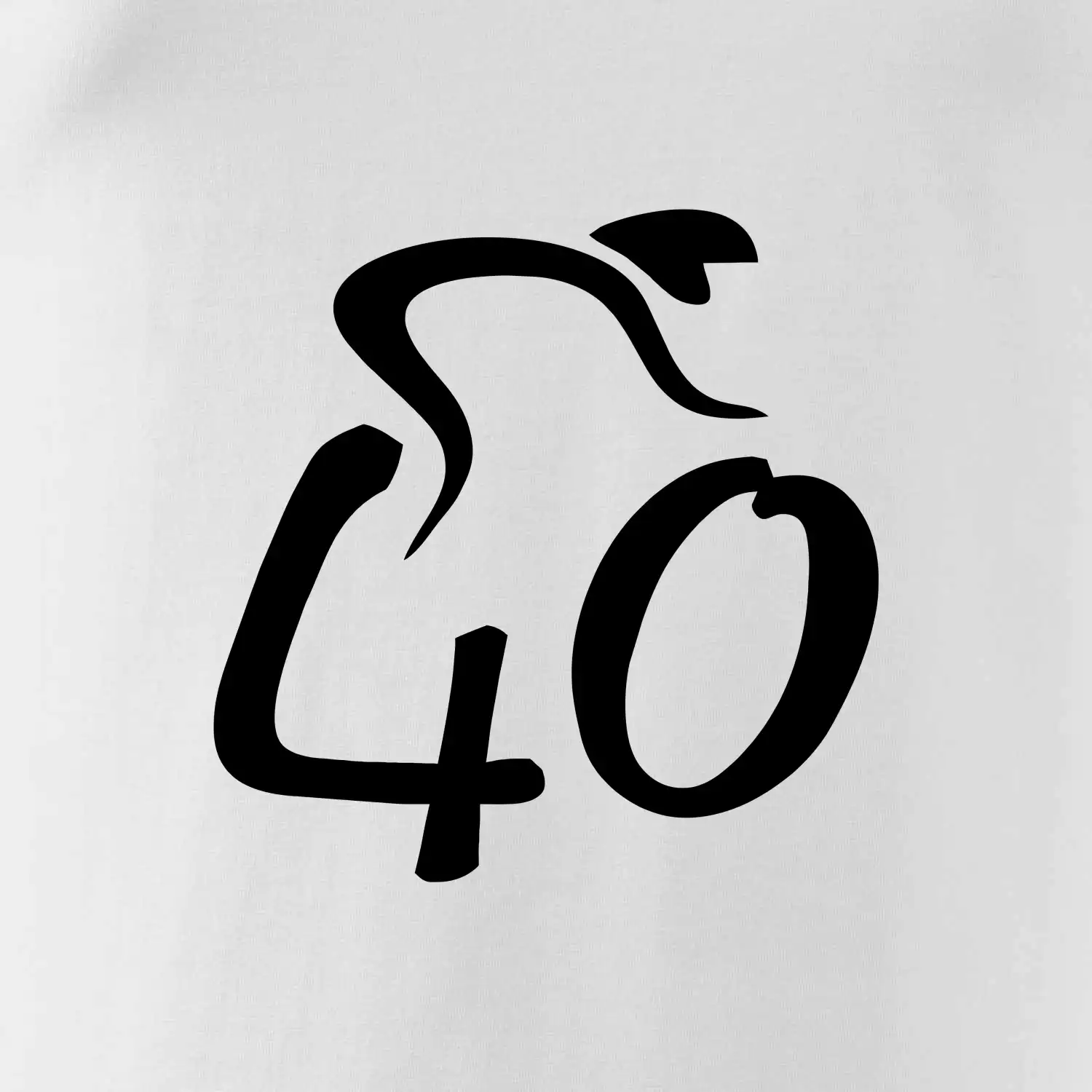 Cyklista slaví čtyřicítku (40)