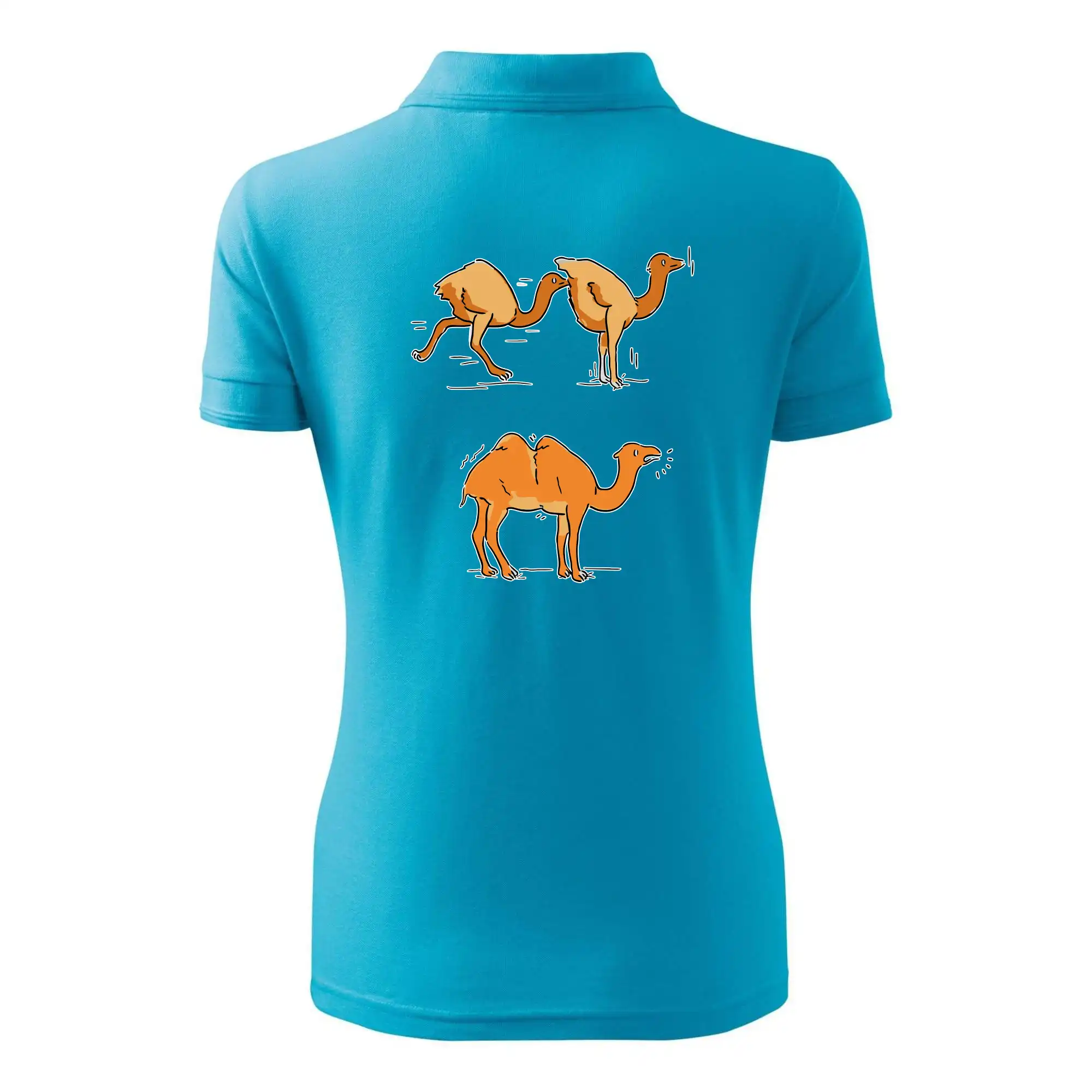 Pravda o velbloudech