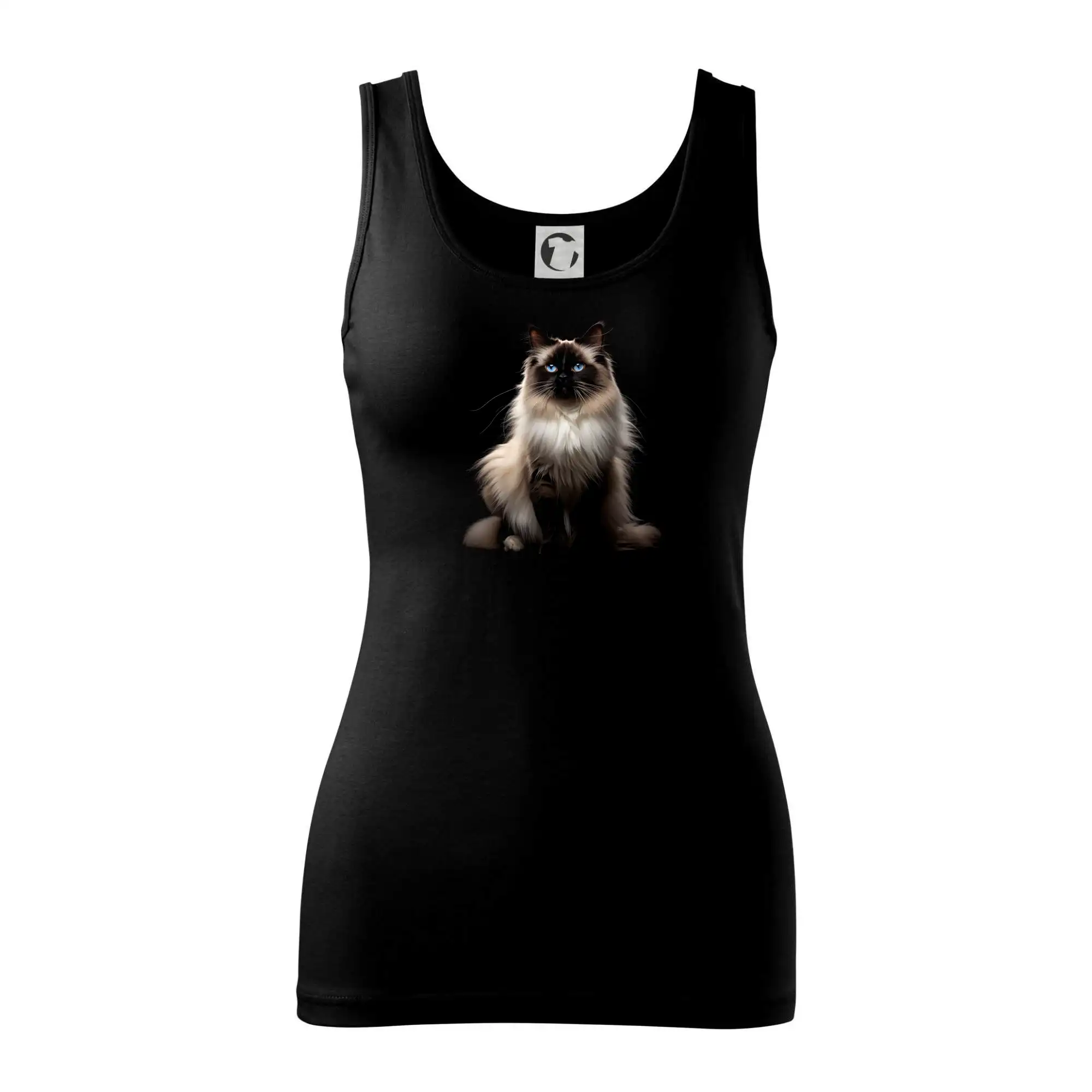 Kočka Ragdoll ze předu černá fotka