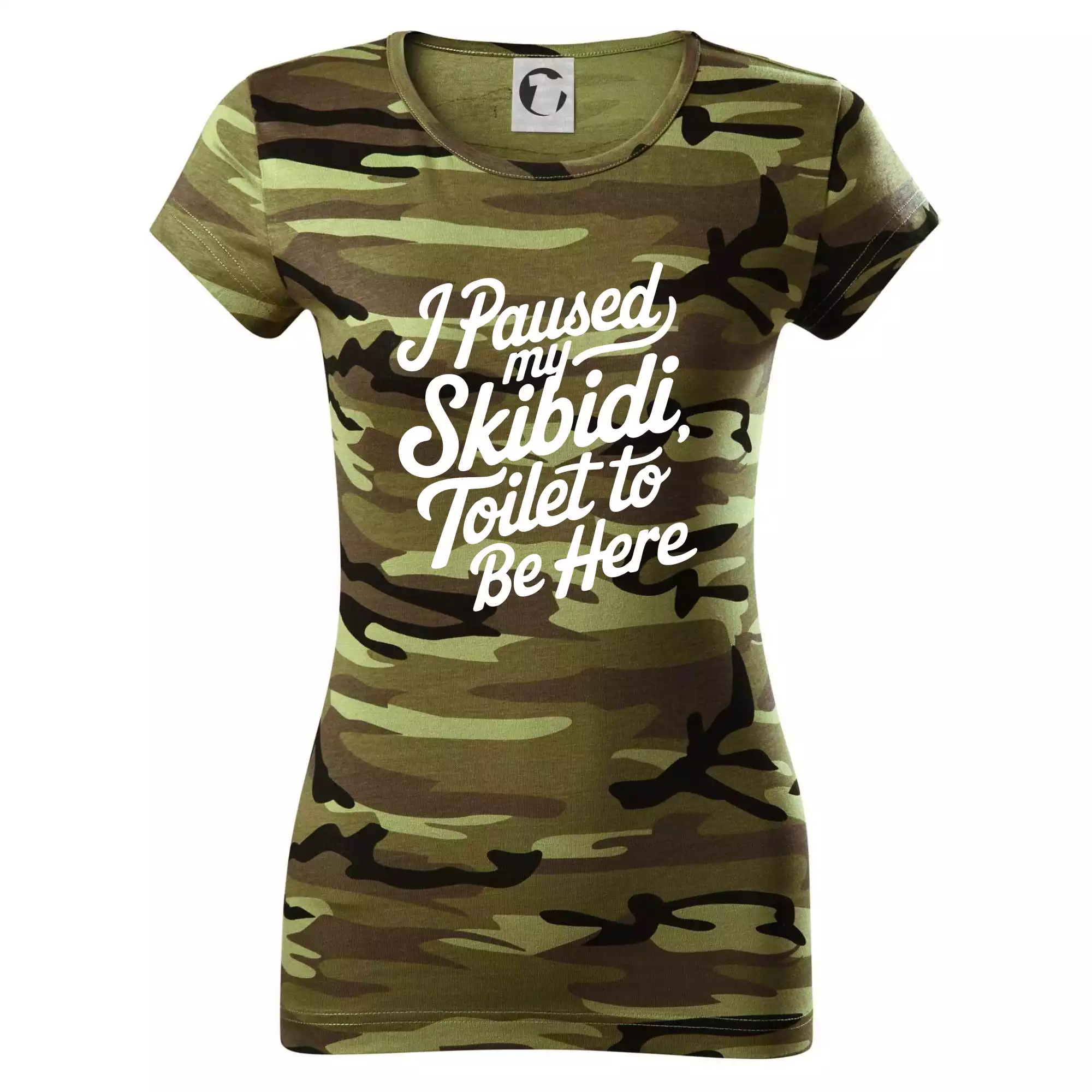 I Paused My Skibidi Toilet to be Here