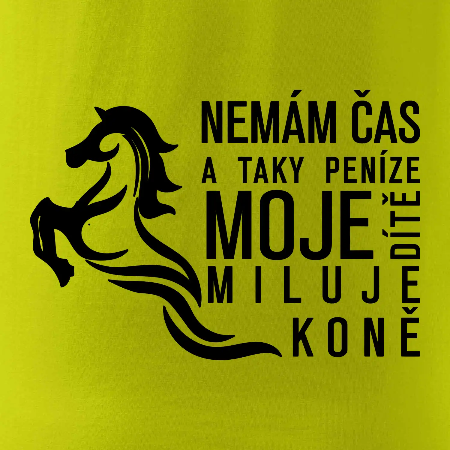 Nemám čas a taky peníze - Kůň