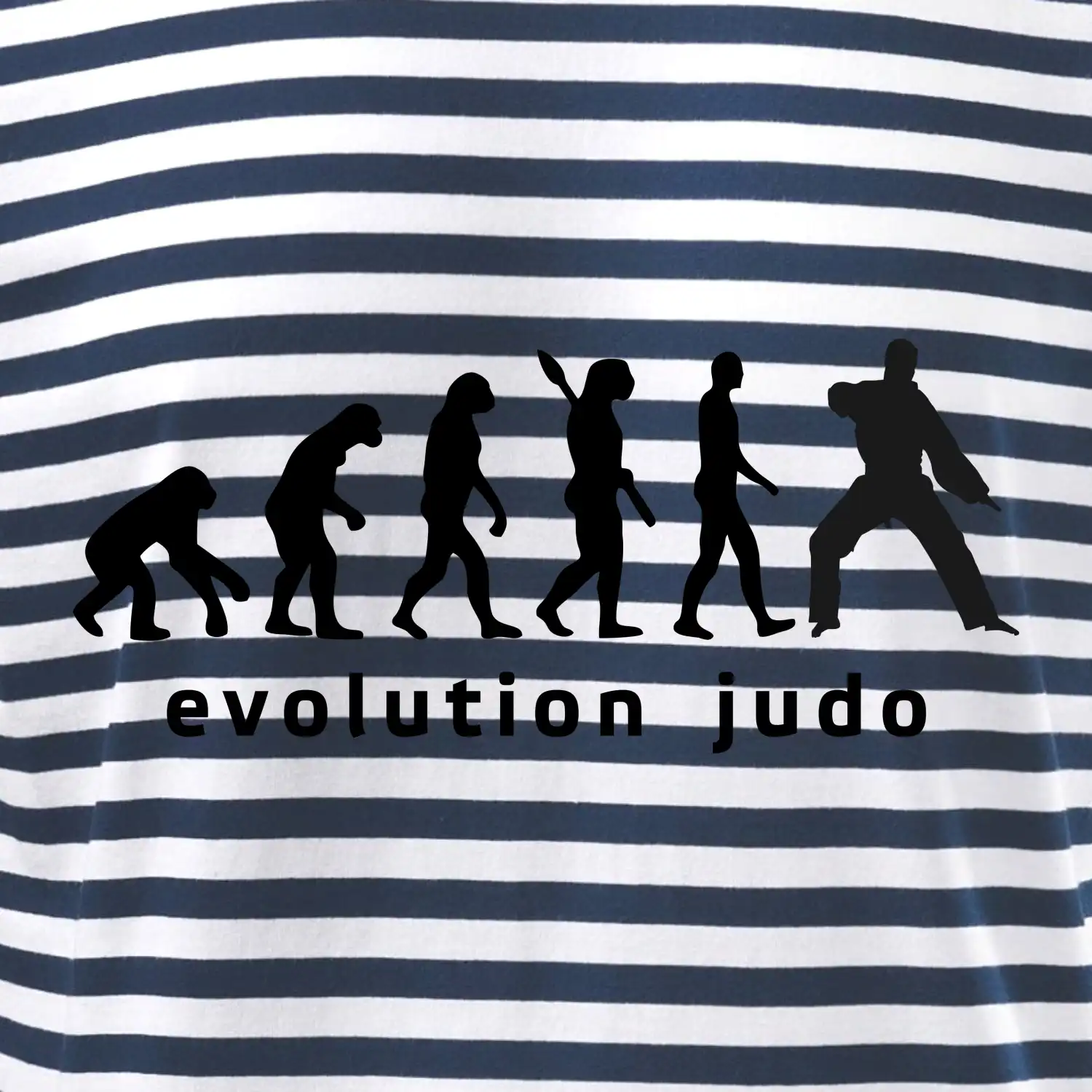 Judo evoluce - úder