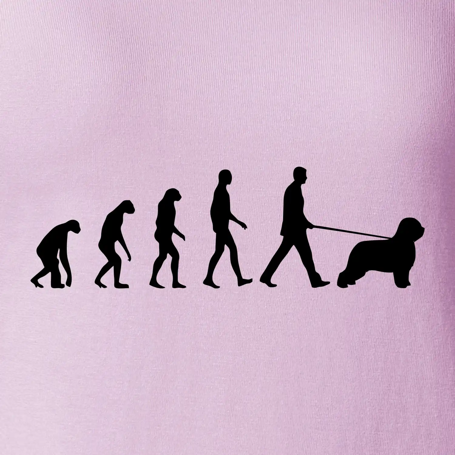 Evoluce pes Briard