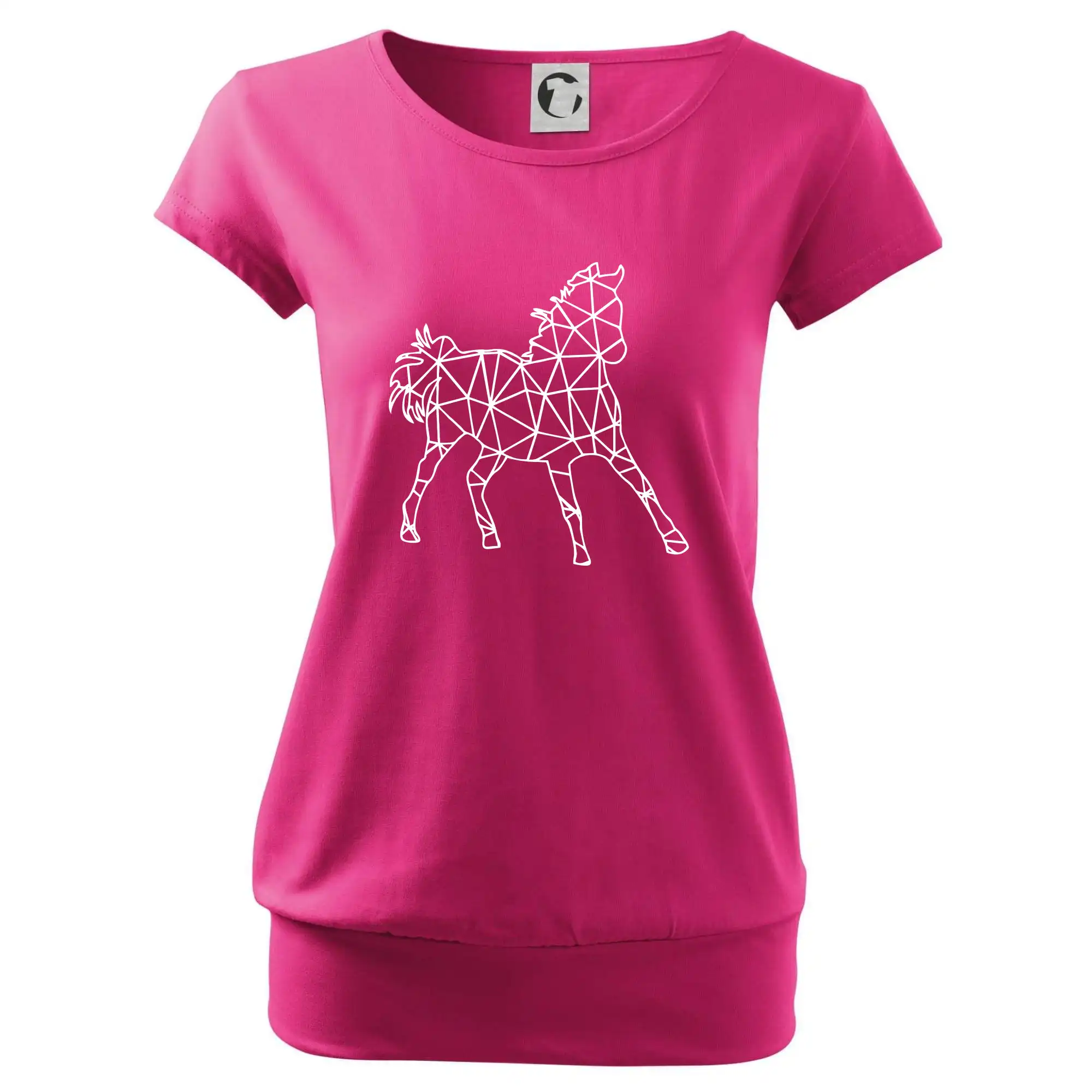 Geometrie - kůň jednobarevná